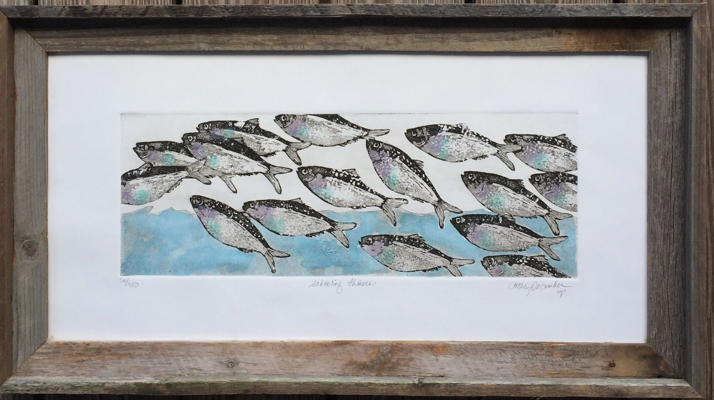 Schooling Shiners Framed