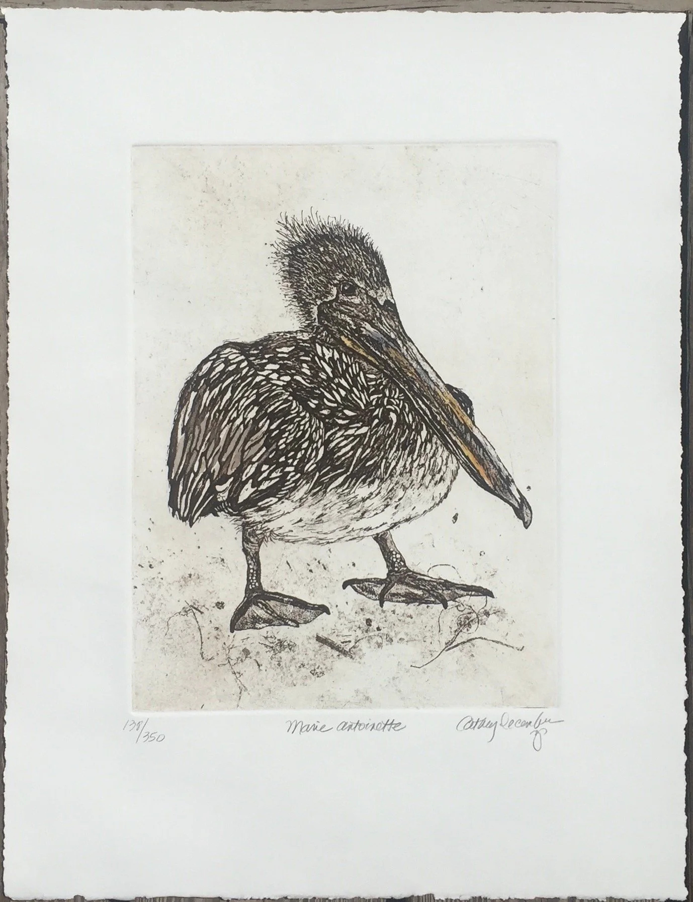 MARIE ANTOINETTE.jpeg