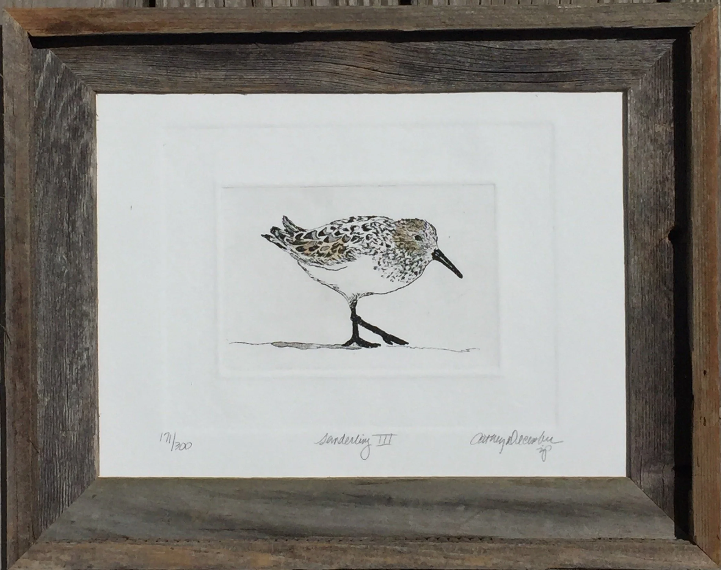 SANDERLING III FRAMED.jpg