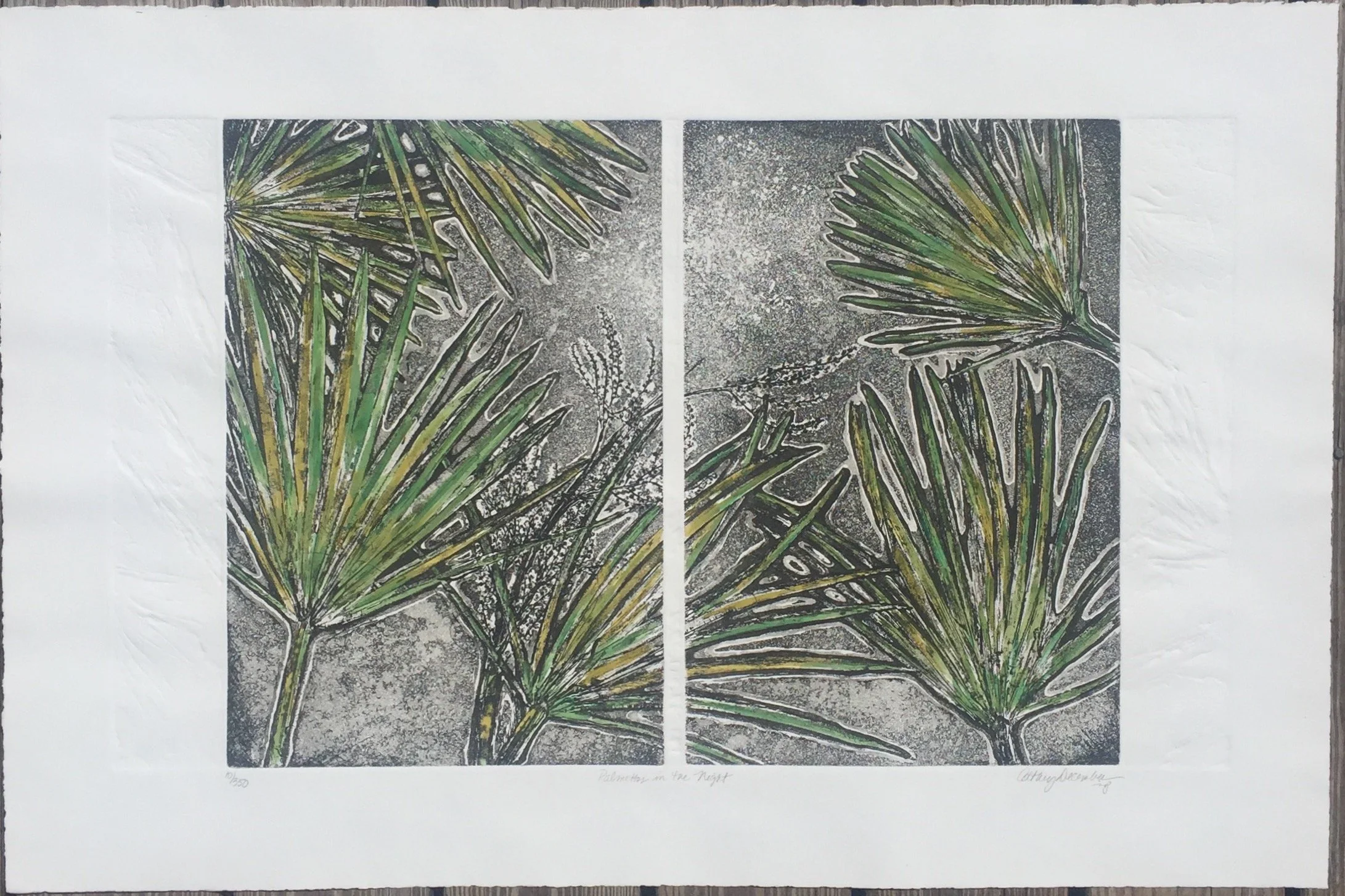 Palmettos in the Night