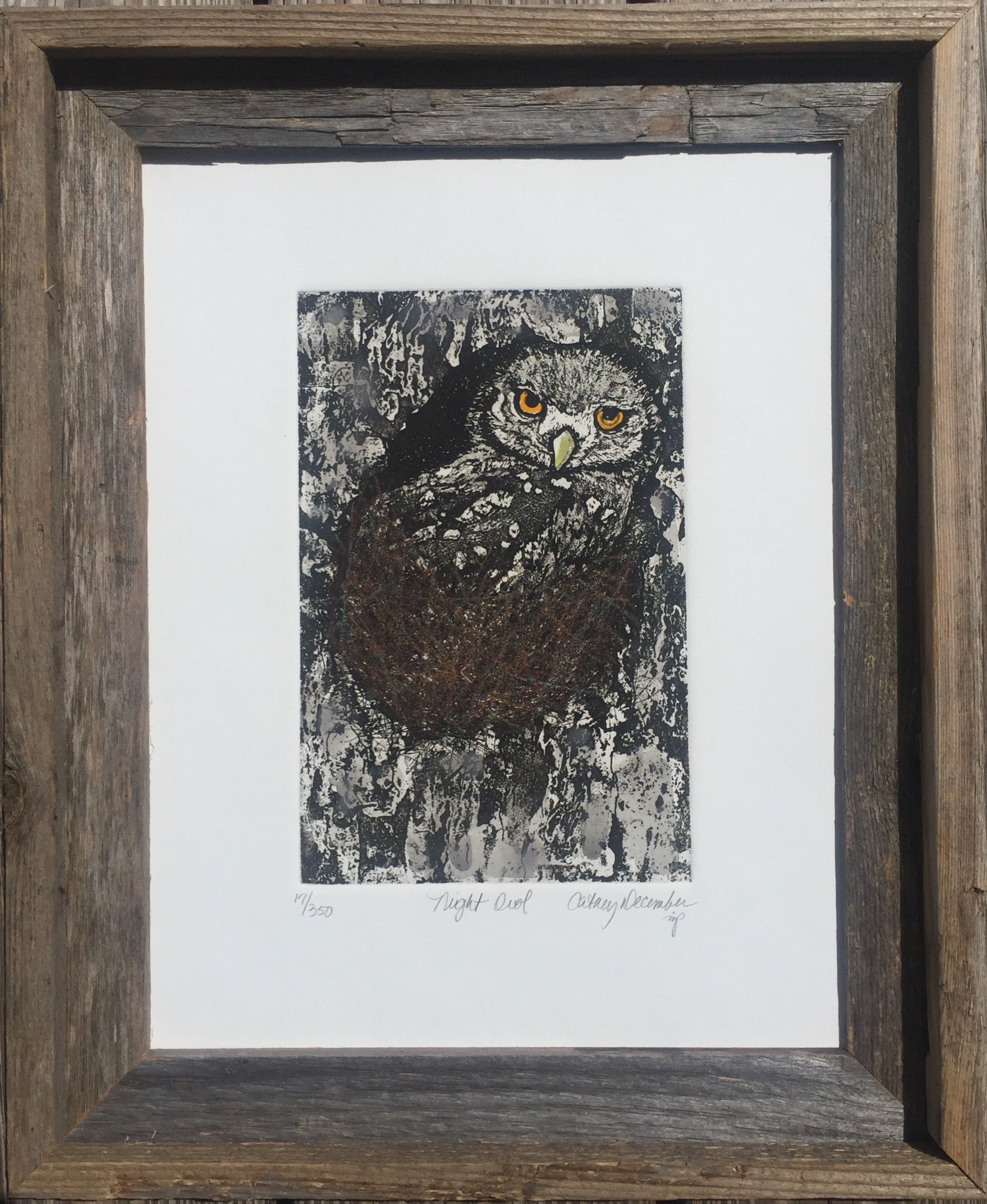 NIGHT OWL FRAMED.jpg