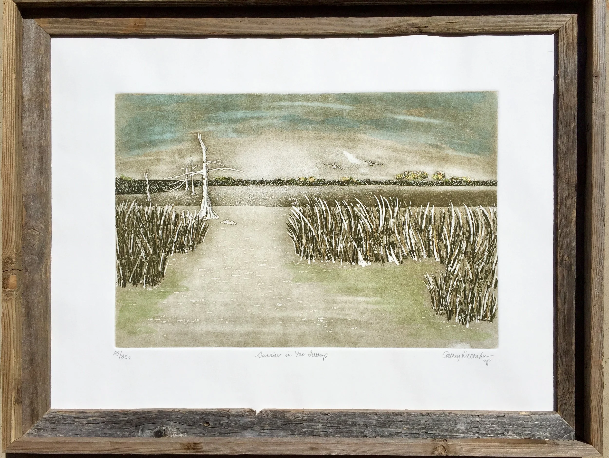 Sunrise in the Swamp Framed