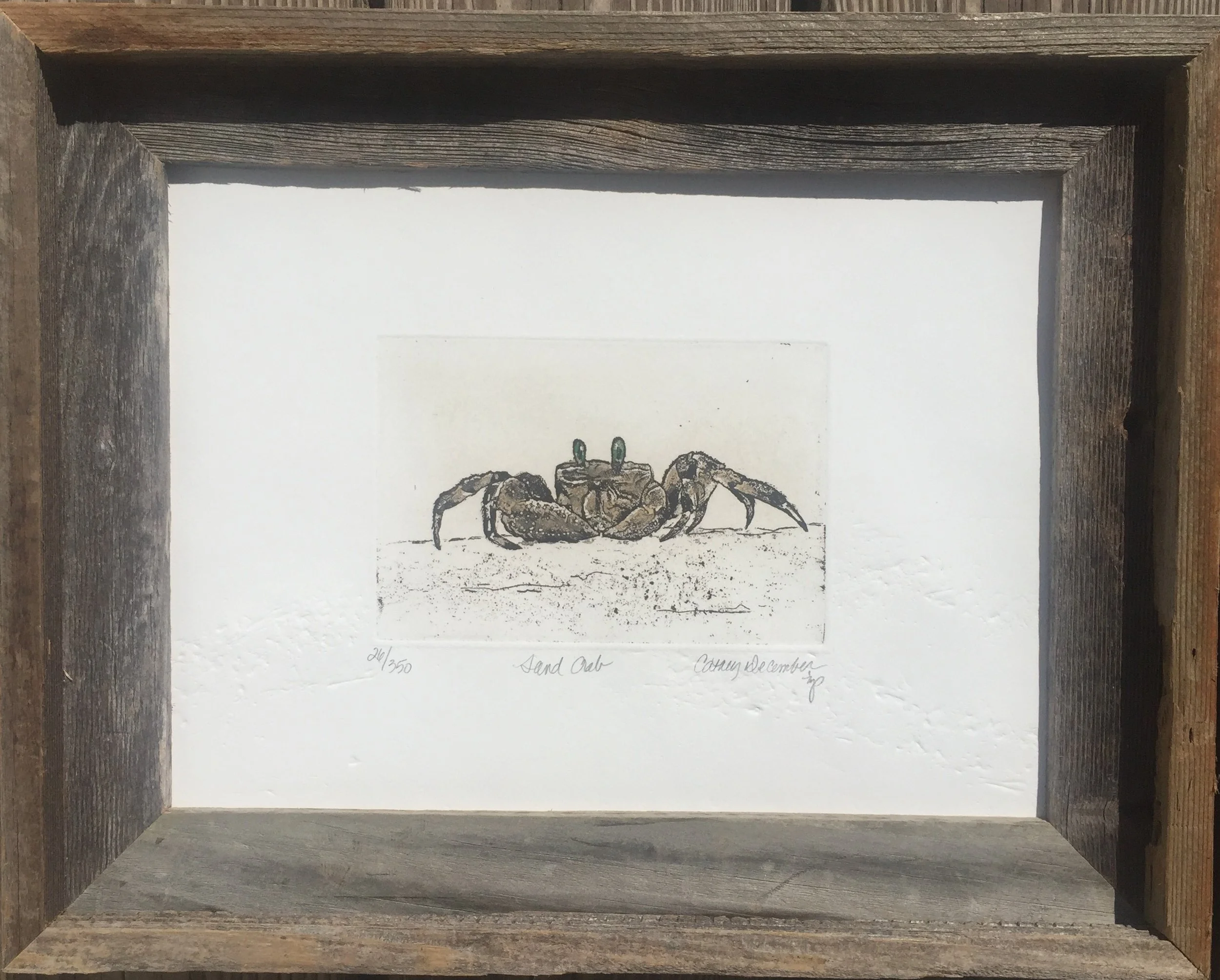 SAND CRAB FRAMED.jpg