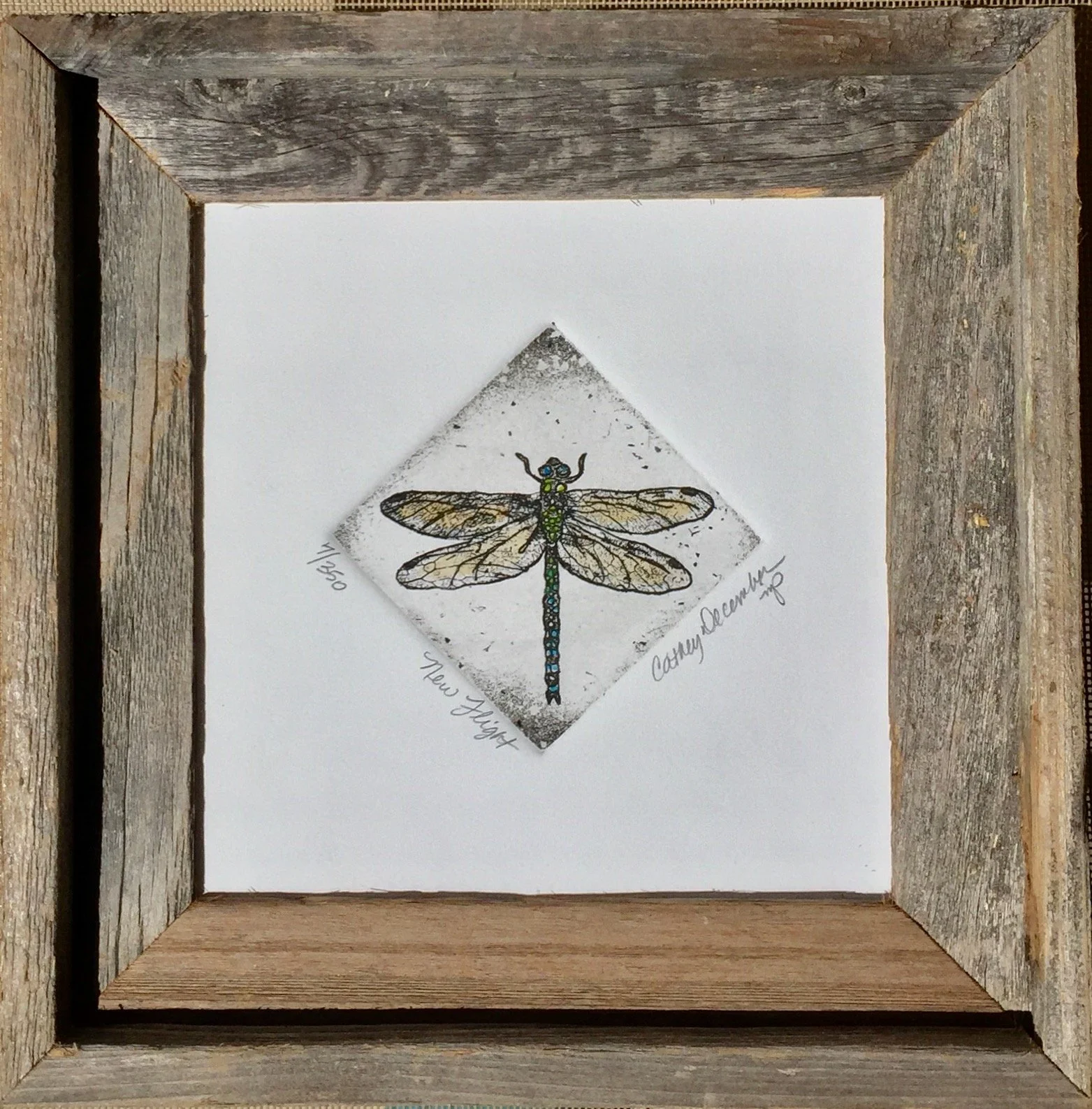 New Flight (Dragonfly)