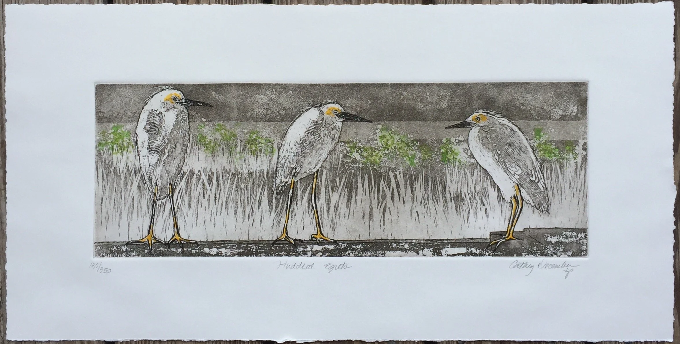 Huddled Egrets Framed