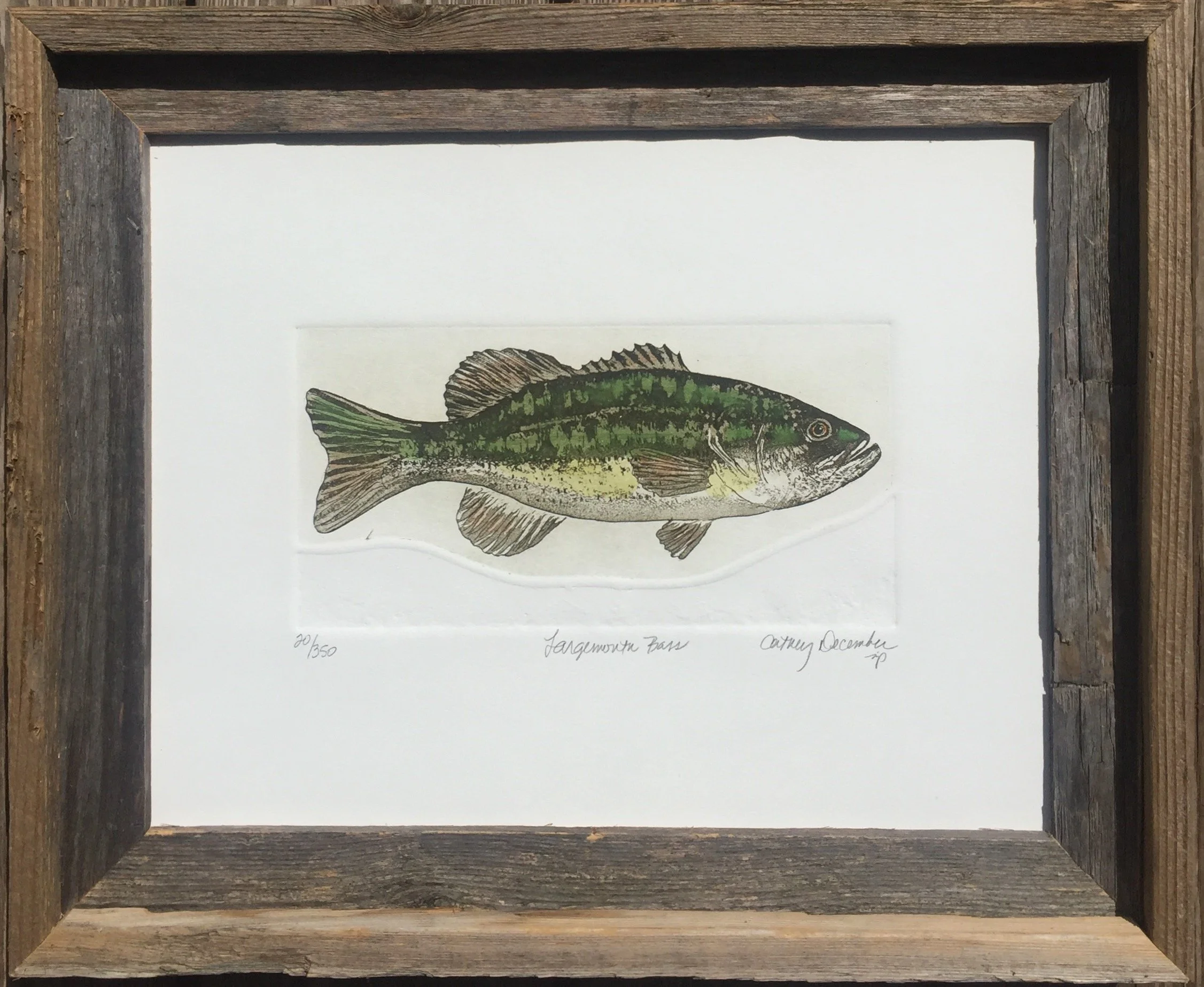 LARGEMOUTH BASS FRAMED.jpg