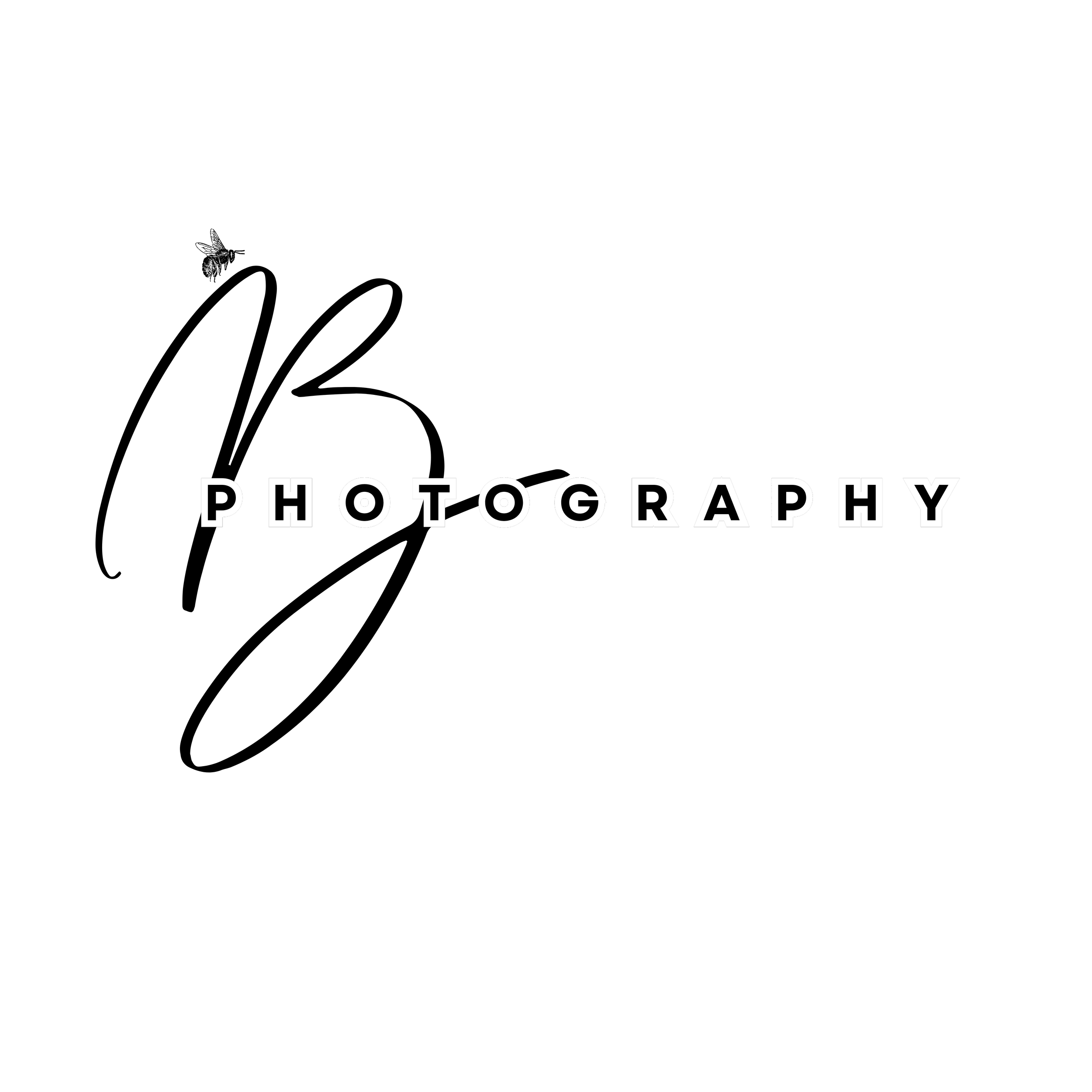 Photography Session (1-hour)