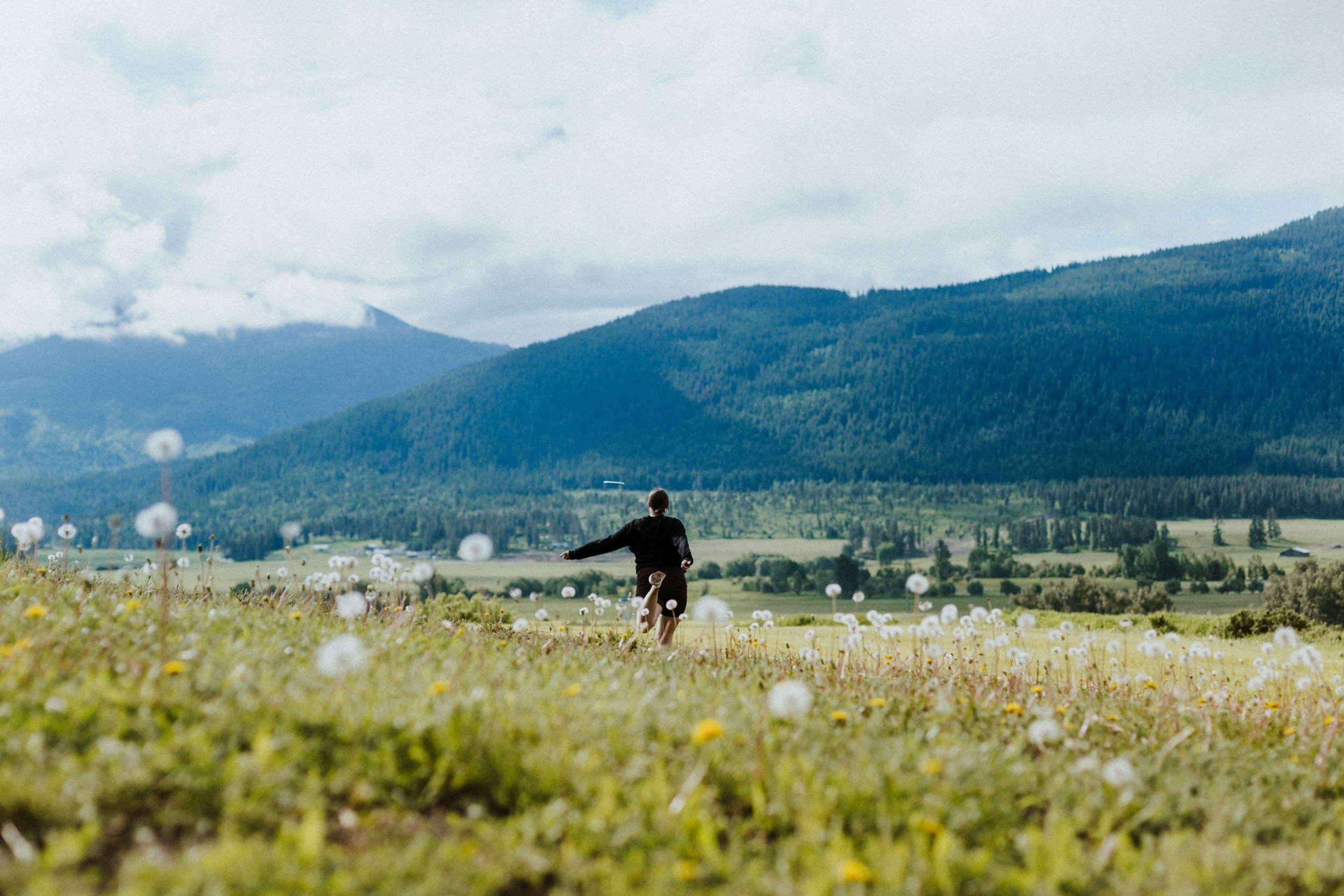 A person walking through a grassy field with dandelions, mountains in the background, and cloudy sky above.