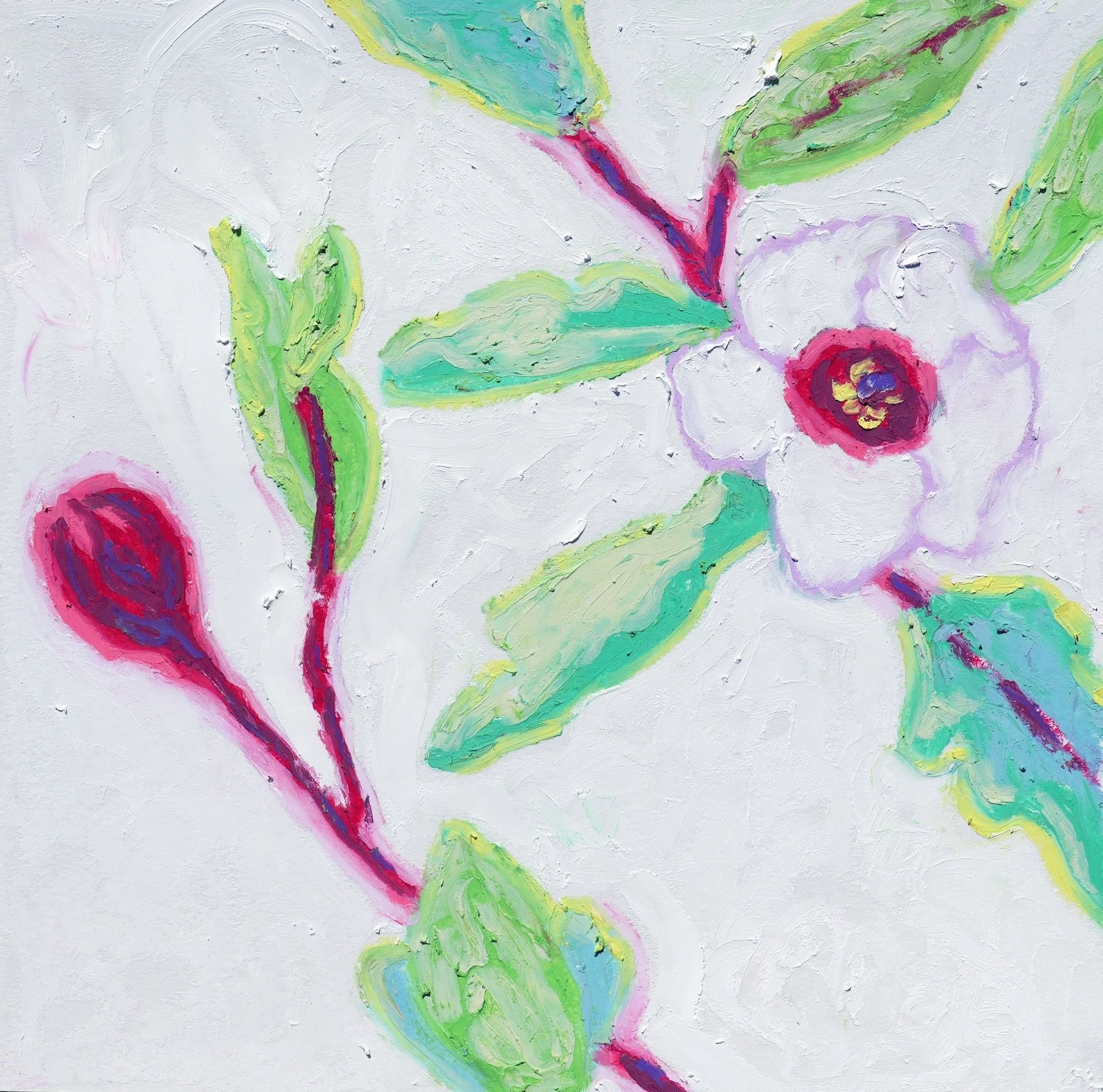 Roselle Bloom