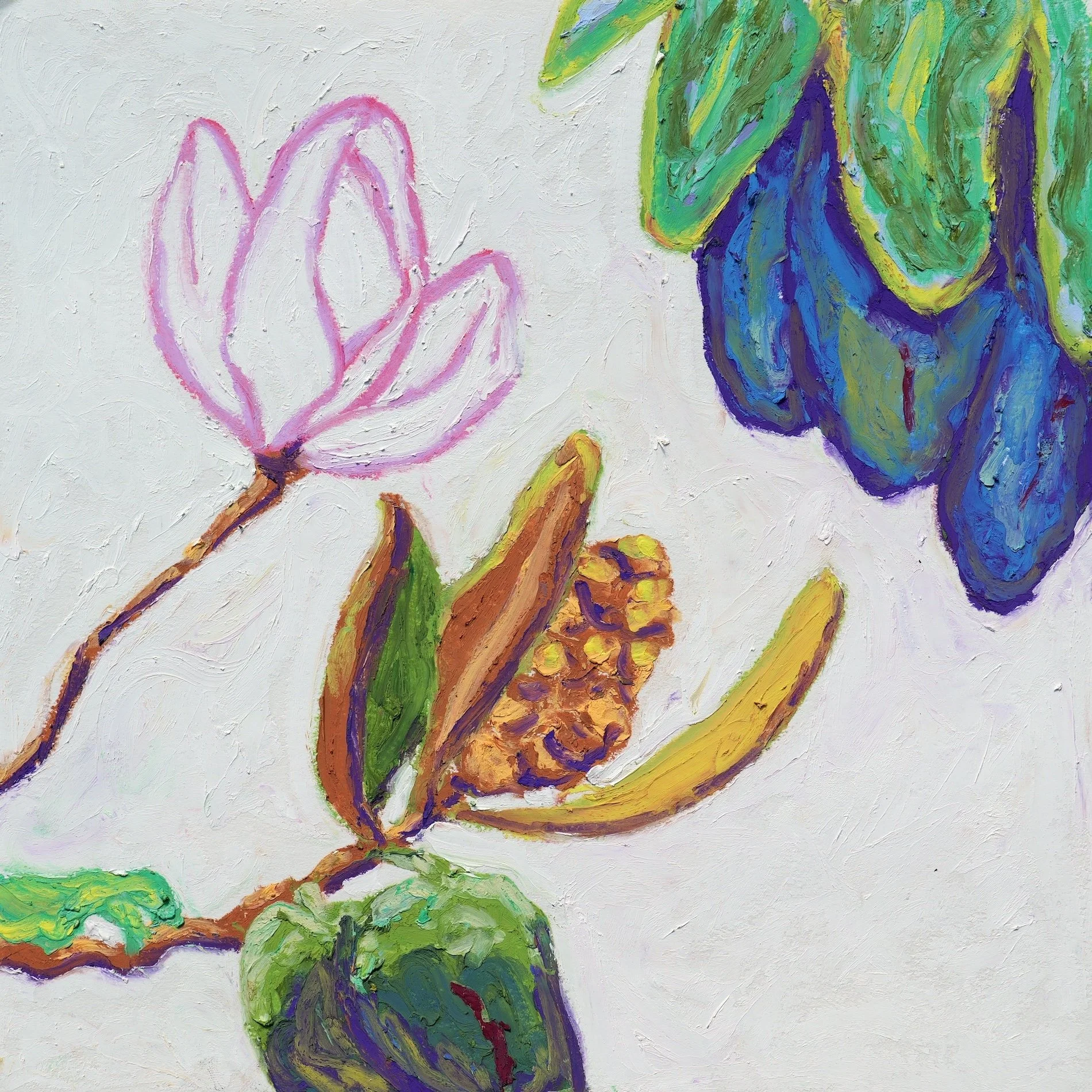 Magnolia and Seed.jpeg