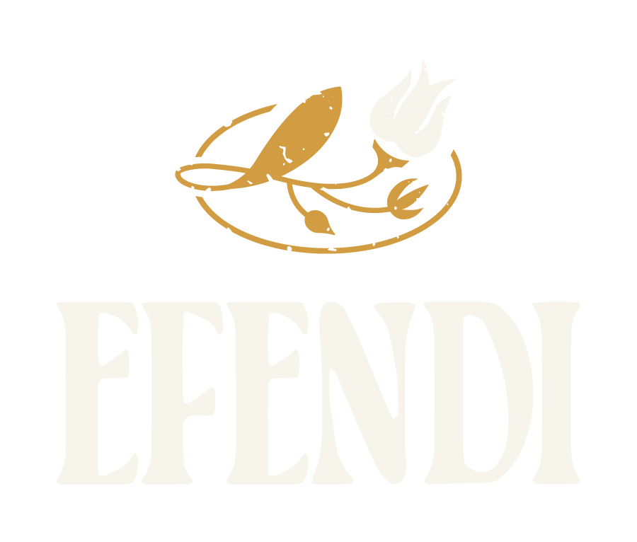 Efendi Primary Logo