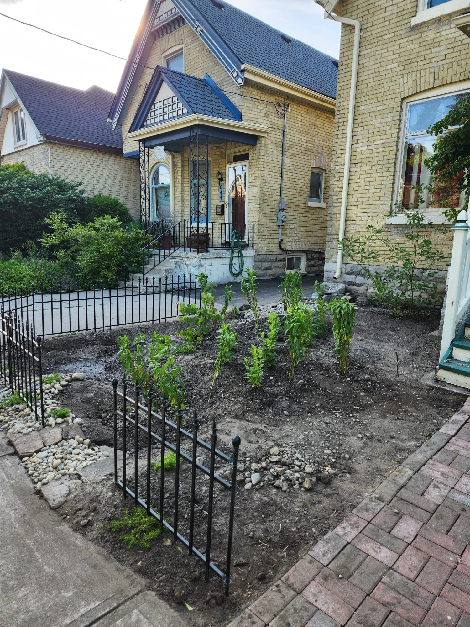 2024 - Perennials established