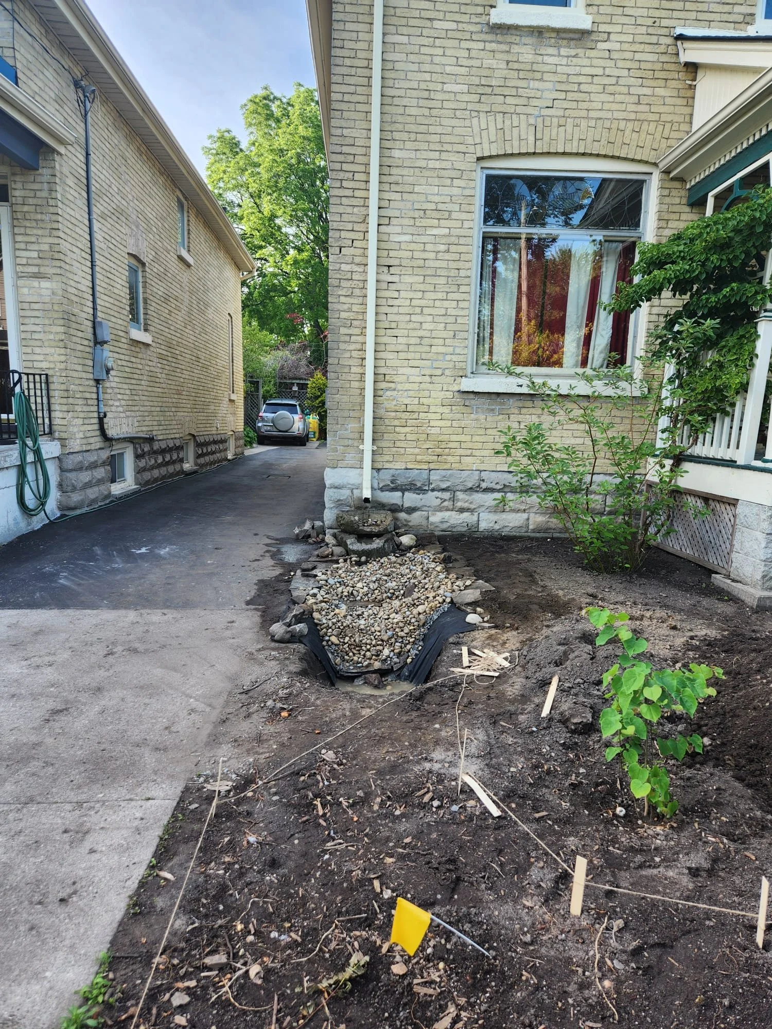 2024 - Downspout & rain garden construction