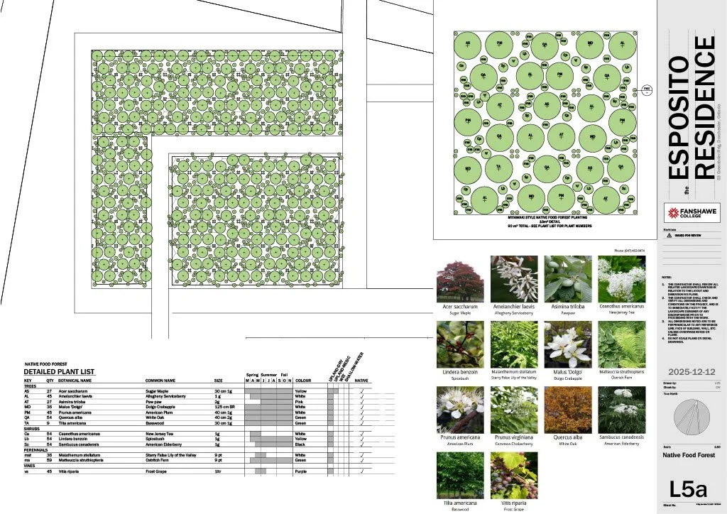 Food Forest Planting Plan