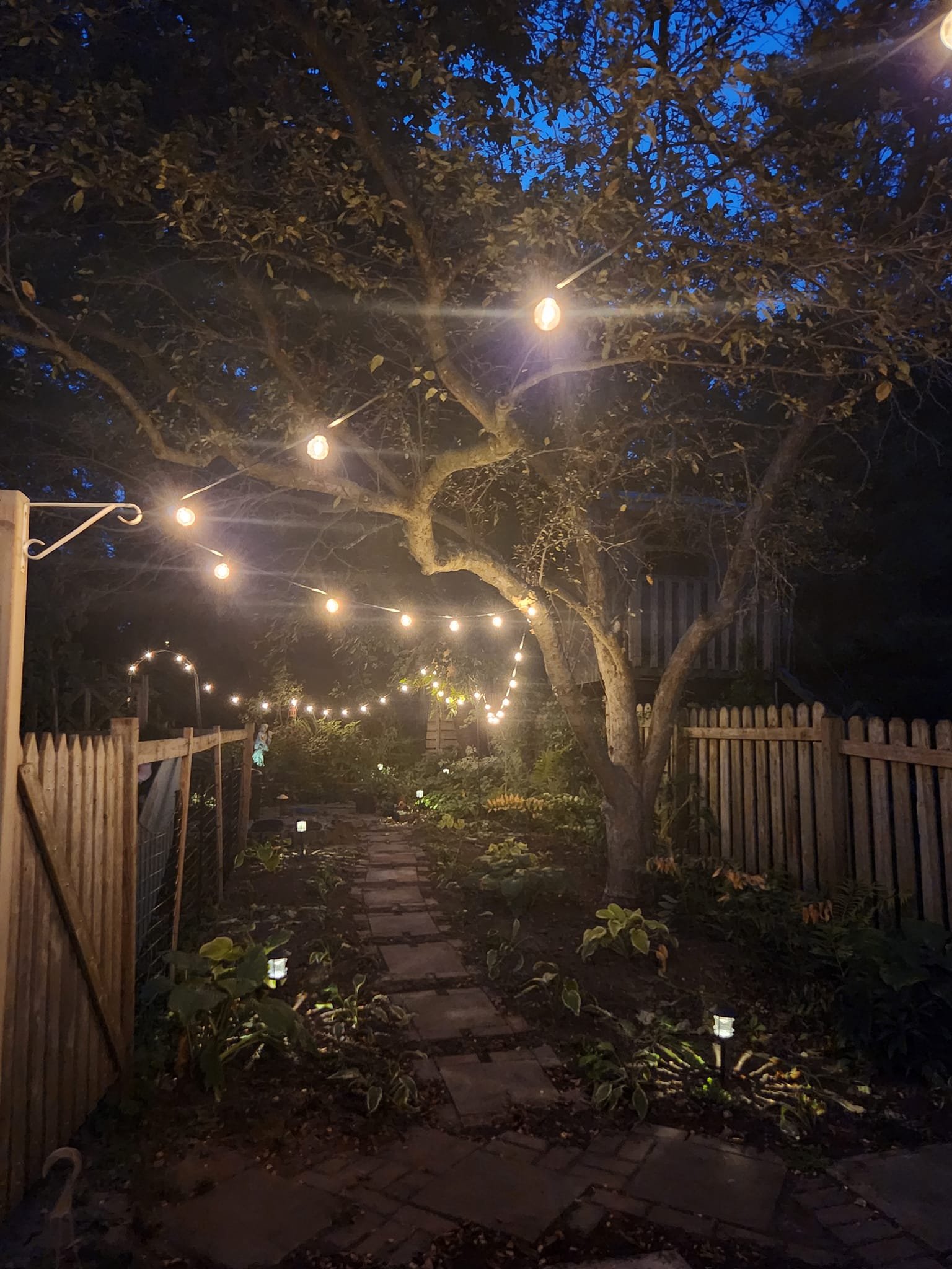 Small Backyard Renovation - After