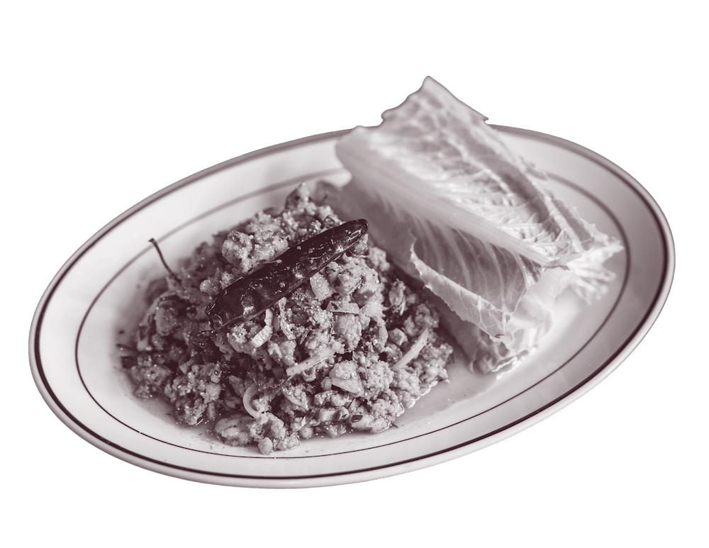A plate of Larb Duck in duotone effect.