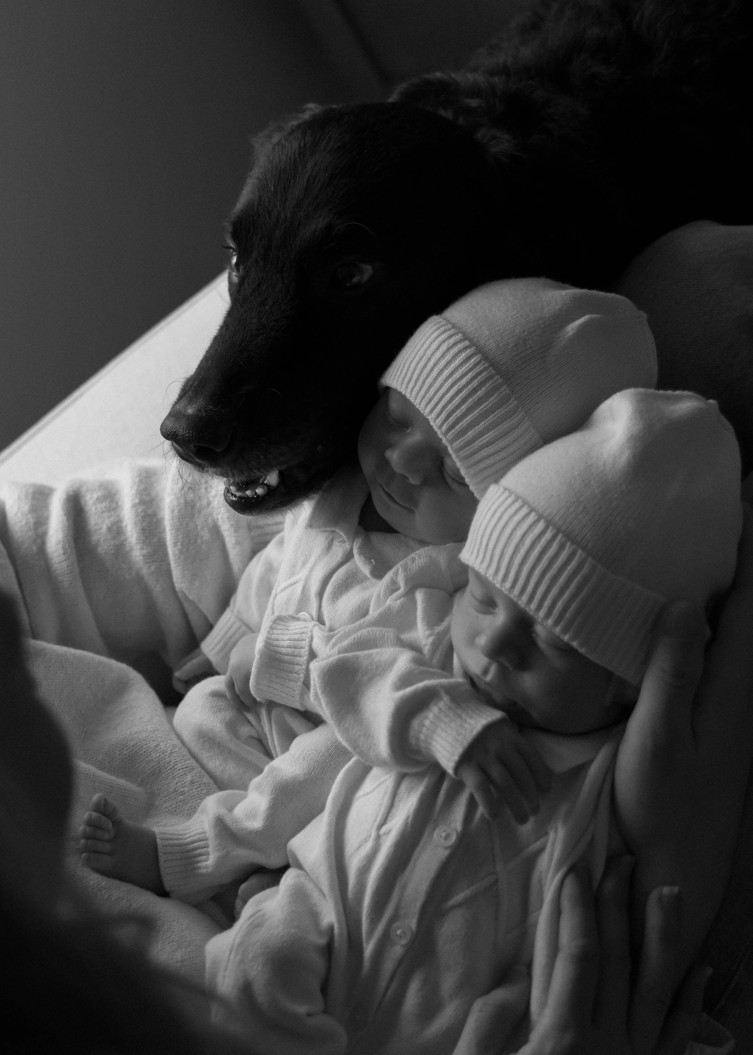 In home Session, Minnesota family photographer, Family Photography, elegant, timeless photography, true to color photographer, true to color edits, family photos, destination photographer, newborn portraits, newborn photography