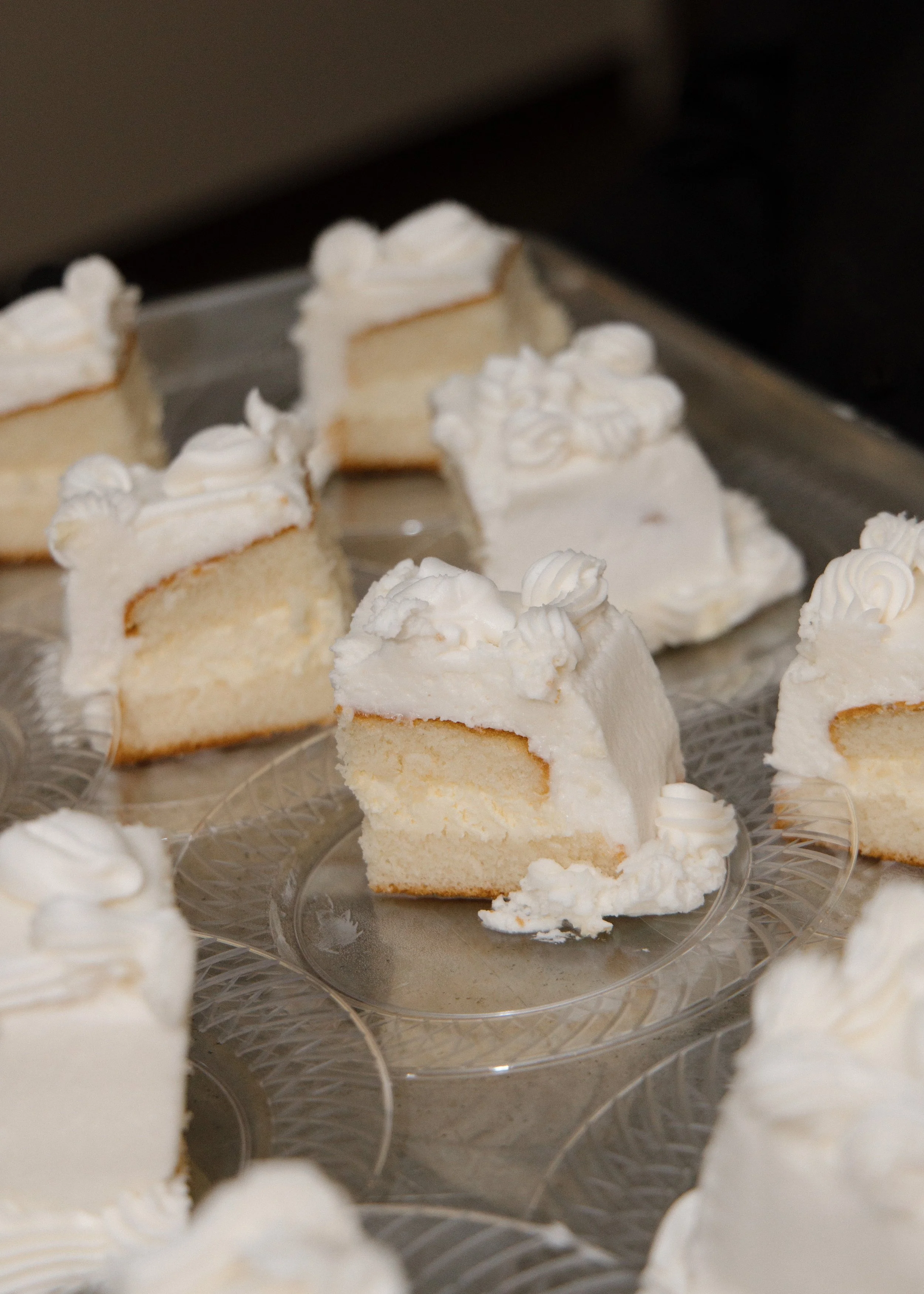 LaPanta Omann Wedding Portraits, St. John's Abbey, St. Cloud MN, Bride & Groom Photos, elegant wedding photography, reception photos