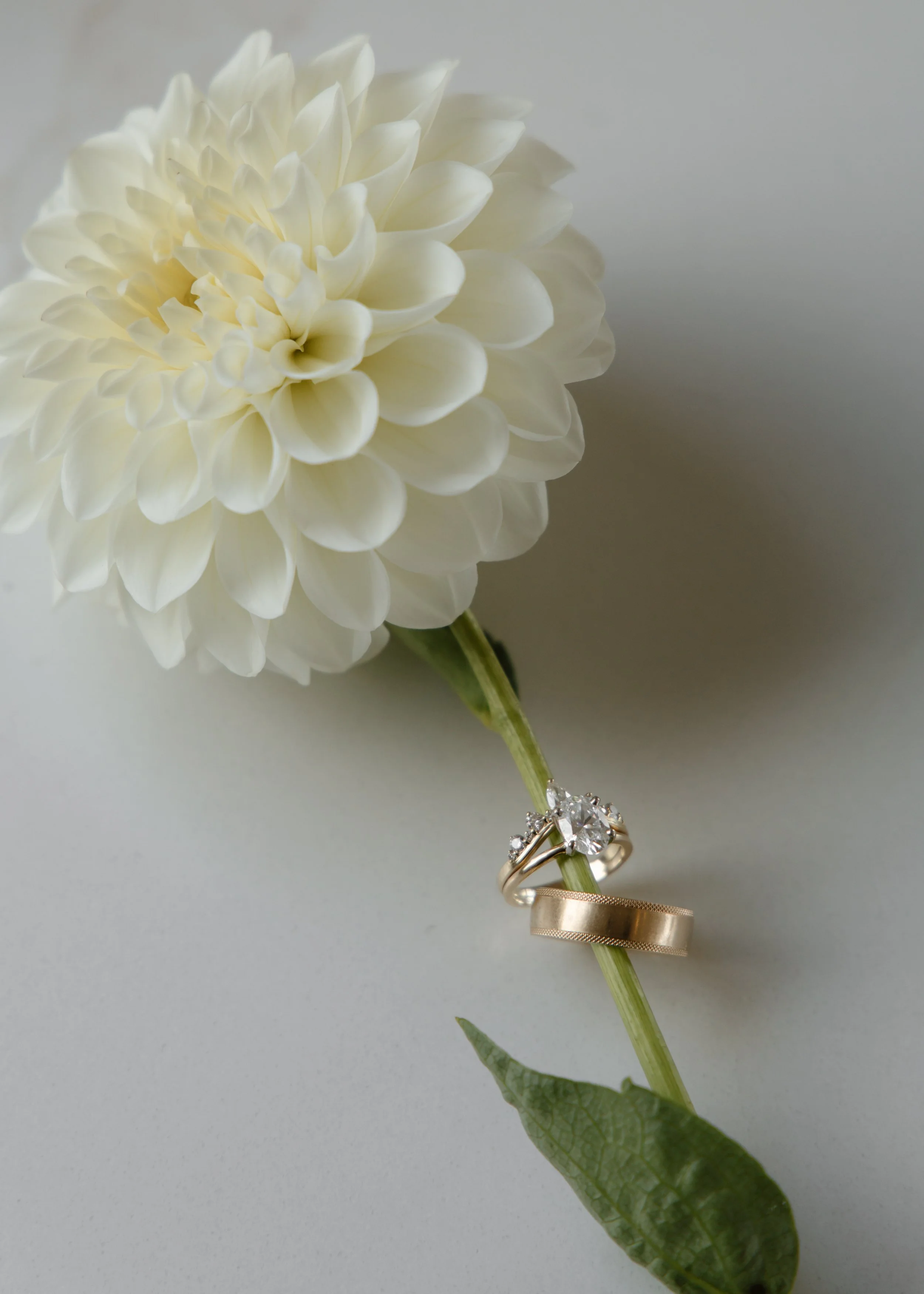 Stonebrooke Golf Cub, Minnesota wedding photographer, Wedding Photography, elegant, timeless photography, true to color photographer, true to color edits, couples photography, wedding photos, destination photographer, wedding details