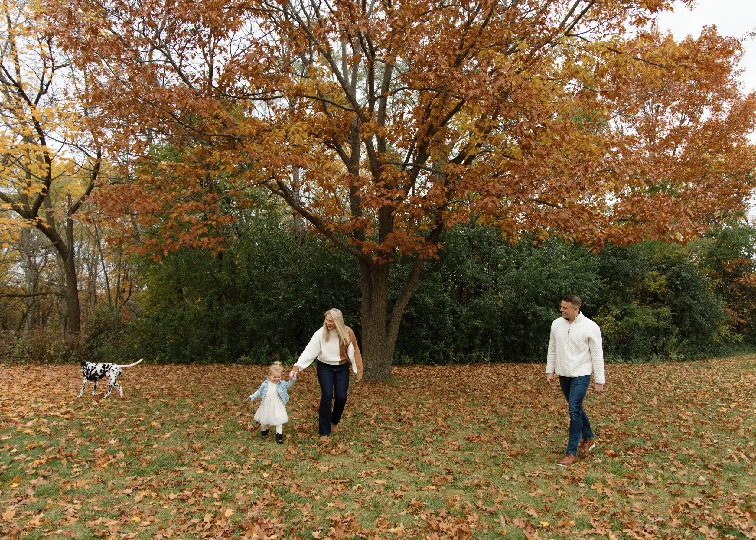 Family Session, Minnesota family photographer, Family Photography, elegant, timeless photography, true to color photographer, true to color edits, couples photography, family photos, fall photos, fall session