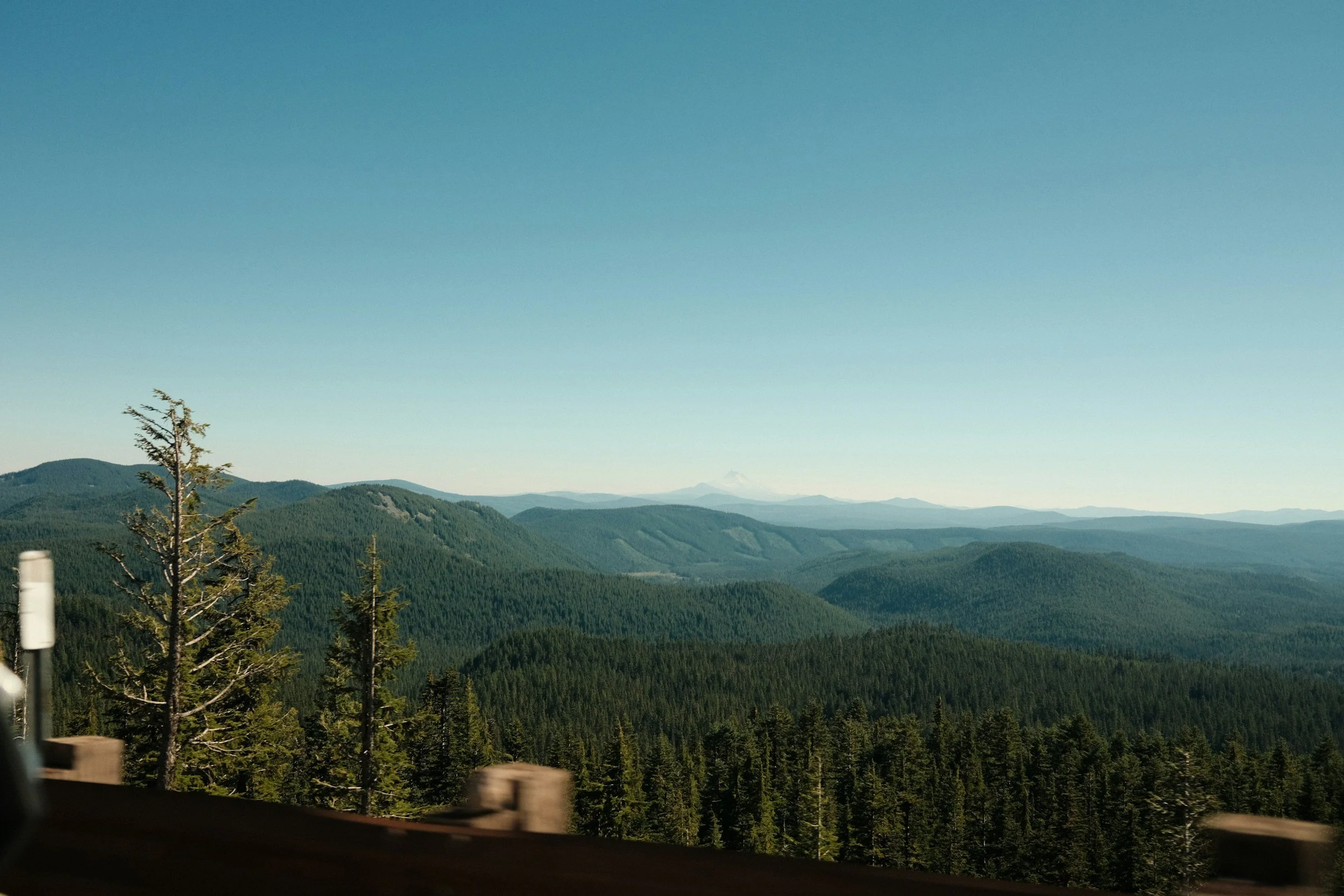 Scenic view of green forested mountains under clear blue sky, with a distant snow-capped peak on the horizon.