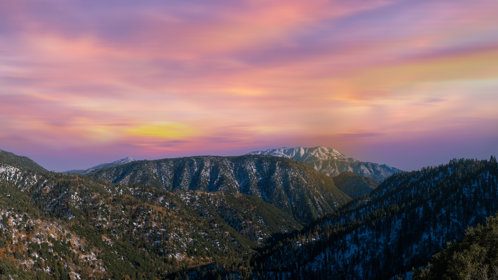 A Life Transformed: Amy's Journey