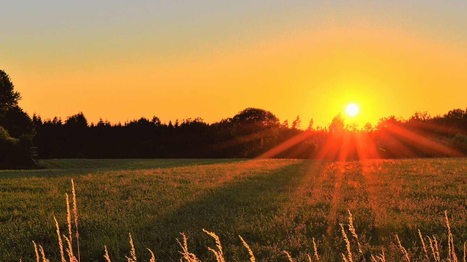 Our July 2025 newsletter