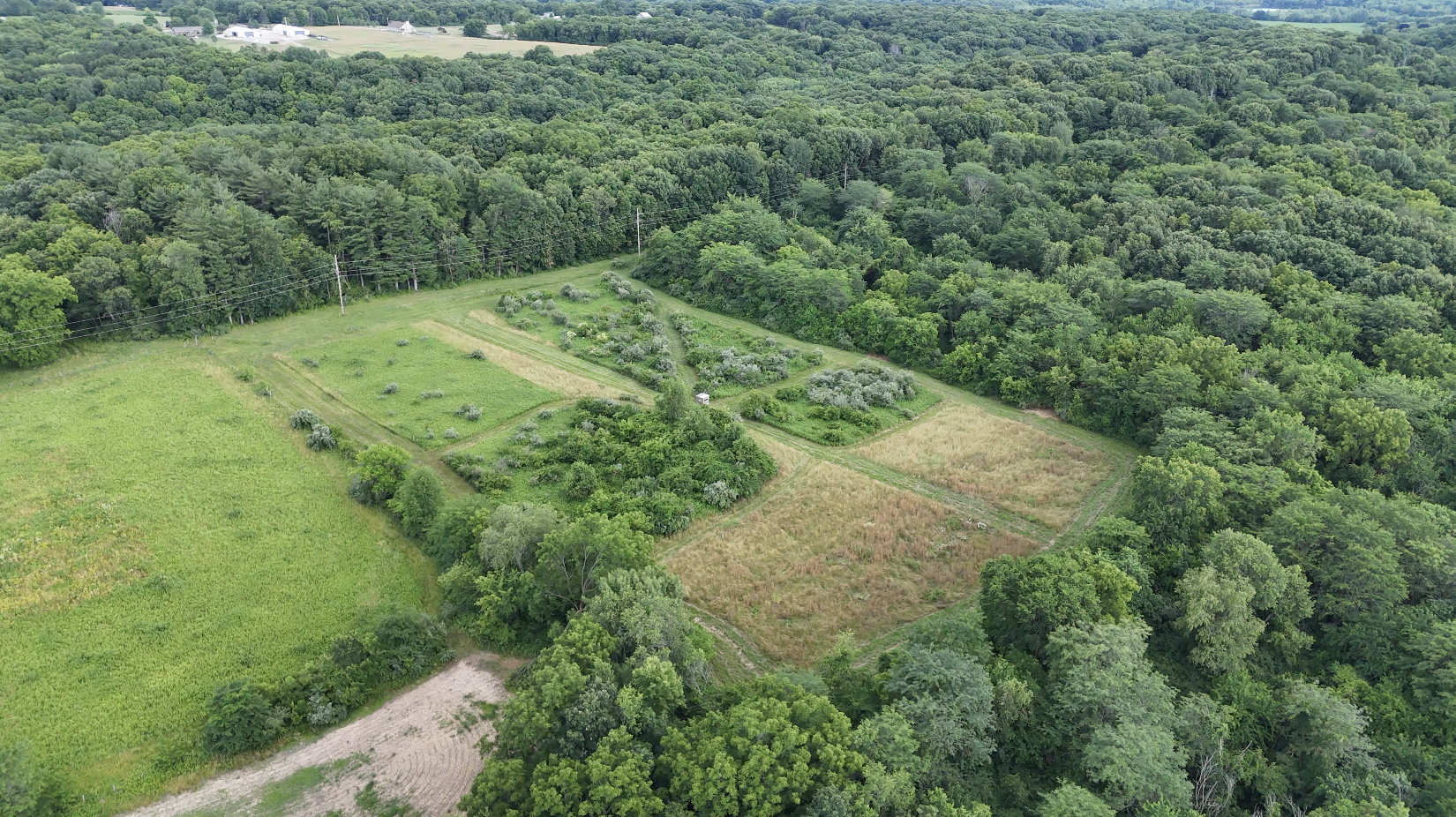 Land-for-Sale-LandCo-Farmland-for-Sale-2024-07-16-at-3.15.08-PM.png