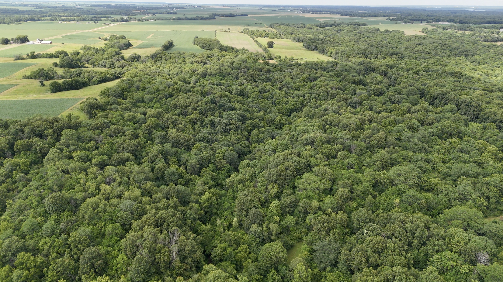 Land-for-Sale-LandCo-Farmland-for-Sale-2024-07-16-at-3.14.47-PM.png