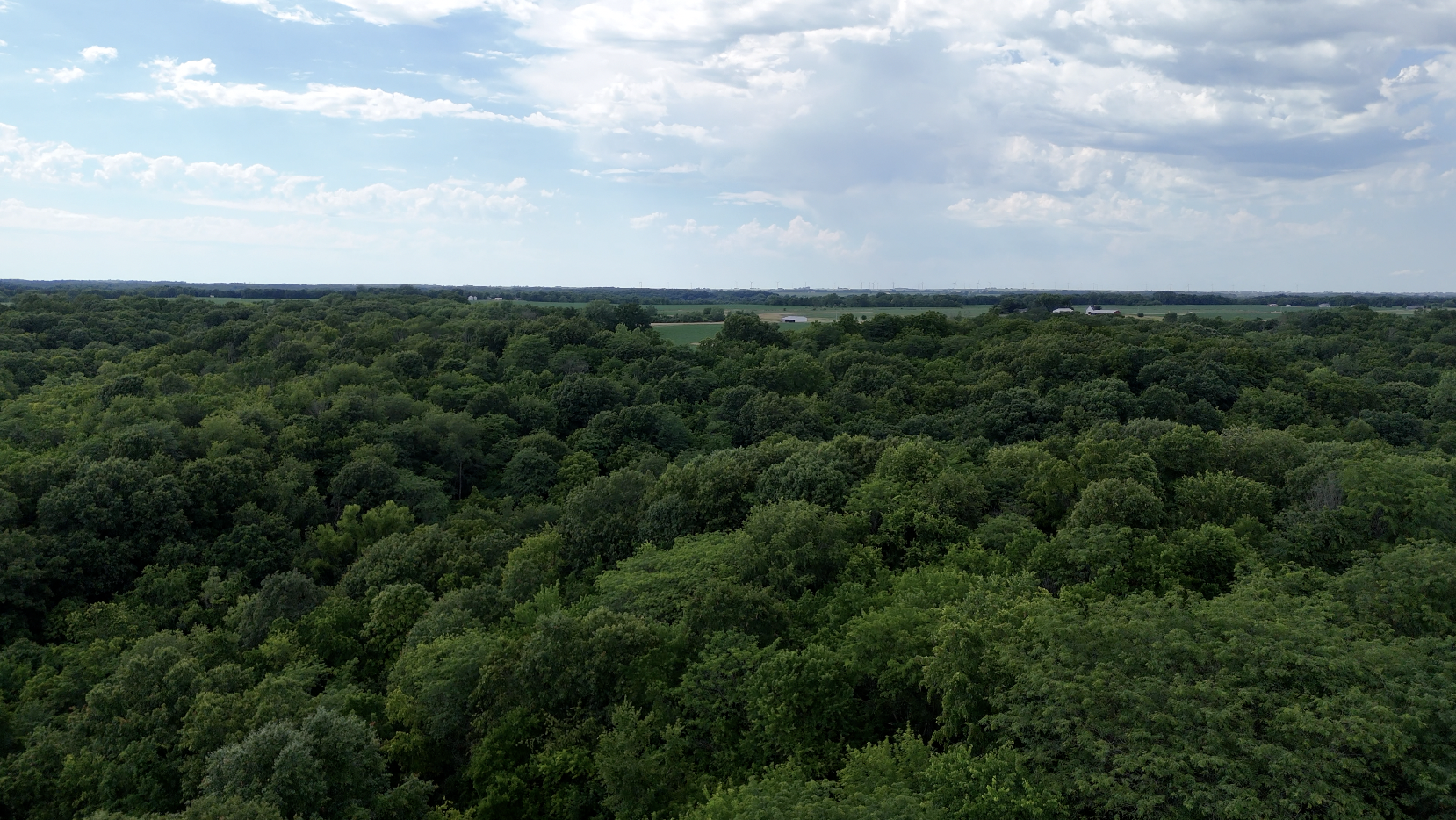 Land-for-Sale-LandCo-Farmland-for-Sale-2024-07-16-at-3.15.46-PM.png