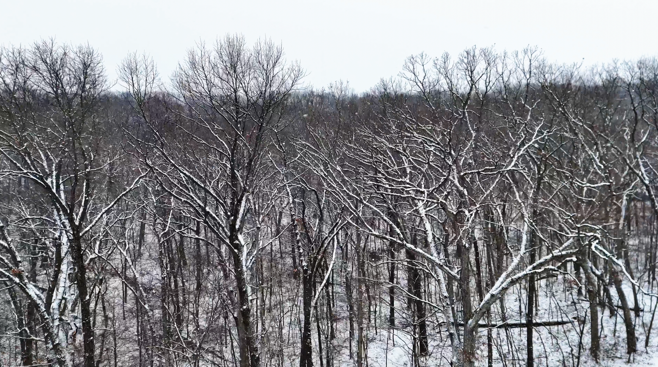 Land-for-Sale-LandCo-Farmland-for-Sale-2025-01-03-at-1.02.21-PM.png