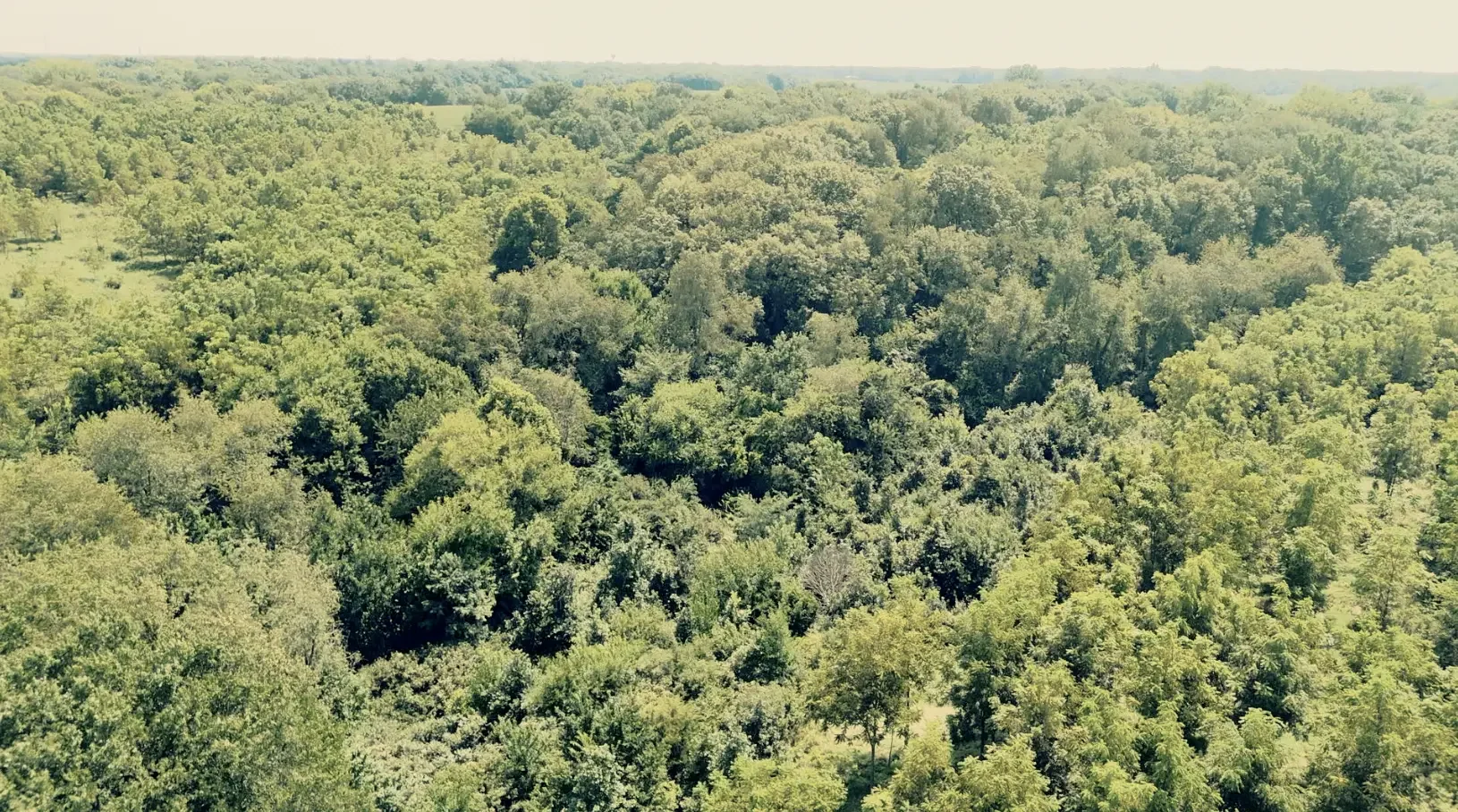 Land-for-Sale-LandCo-Farmland-for-Sale-2025-09-23-at-10.53.59-AM.webp
