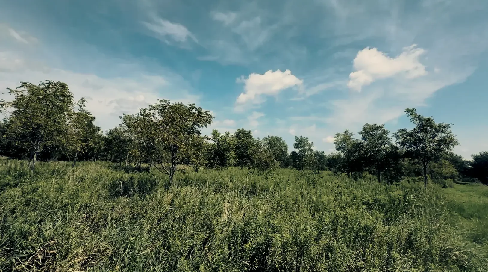 Land-for-Sale-LandCo-Farmland-for-Sale-2025-09-23-at-10.54.06-AM.webp