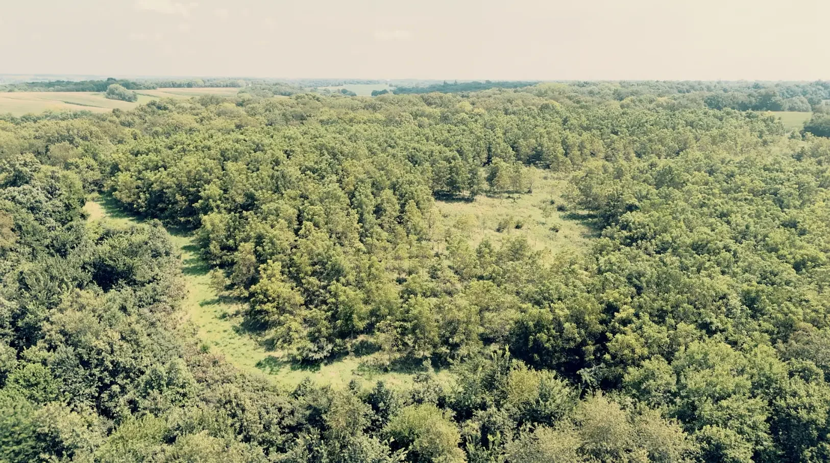 Land-for-Sale-LandCo-Farmland-for-Sale-2025-09-23-at-10.54.13-AM.webp