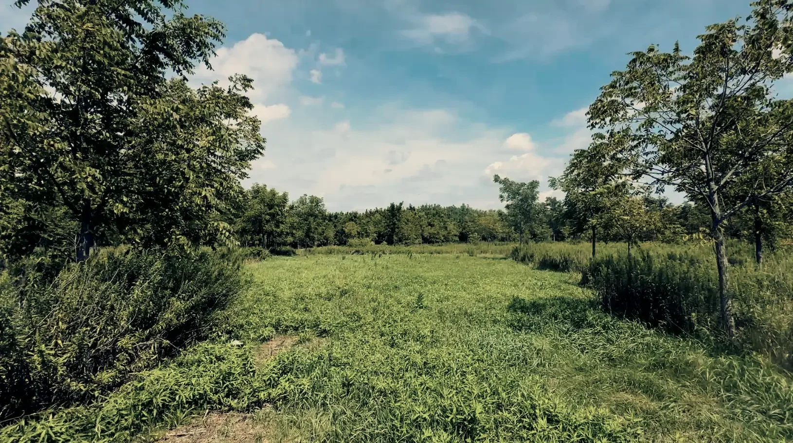 Land-for-Sale-LandCo-Farmland-for-Sale-2025-09-23-at-10.54.26-AM.webp
