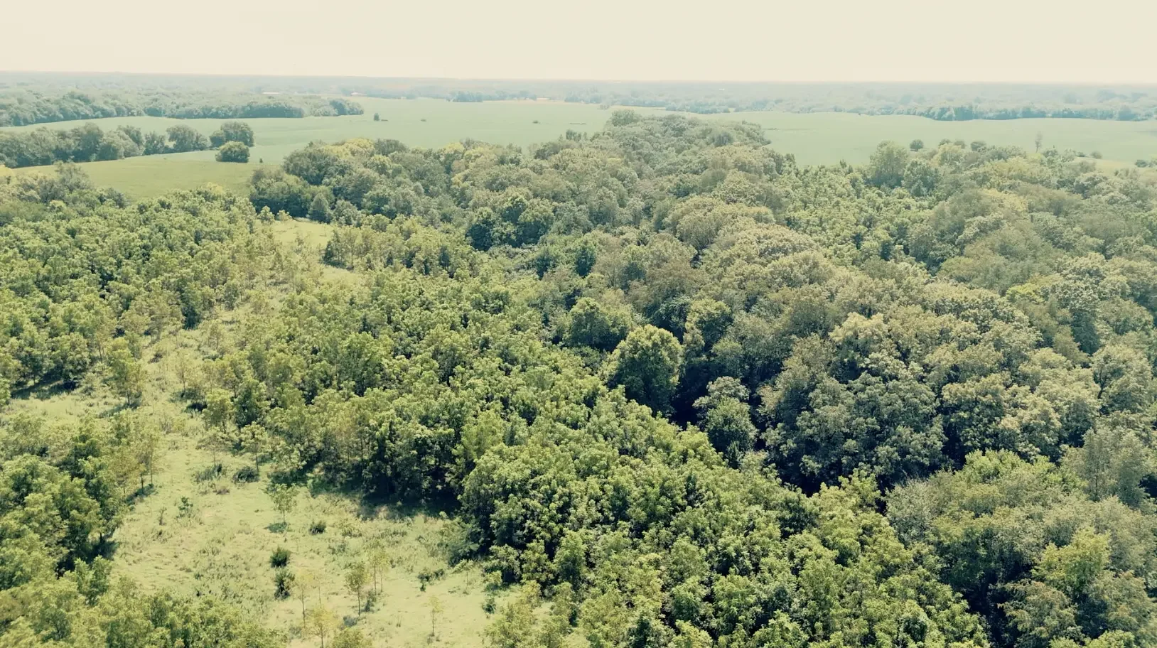 Land-for-Sale-LandCo-Farmland-for-Sale-2025-09-23-at-10.54.33-AM.webp