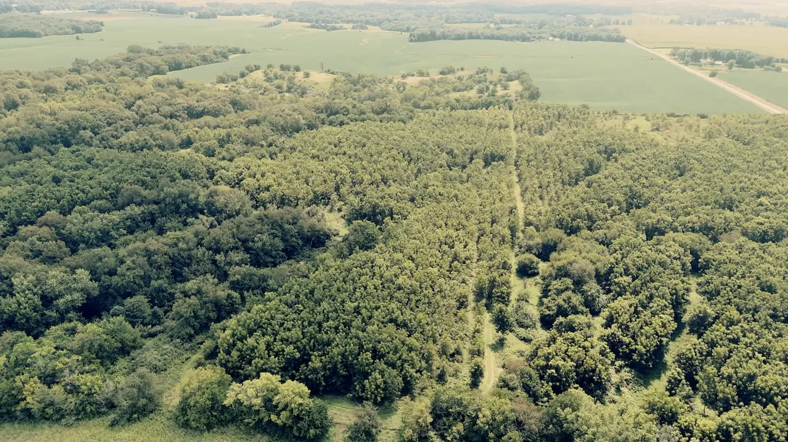 Land-for-Sale-LandCo-Farmland-for-Sale-2025-09-23-at-10.54.48-AM.webp