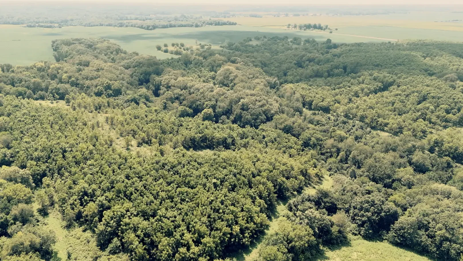 Land-for-Sale-LandCo-Farmland-for-Sale-2025-09-23-at-10.55.01-AM.webp
