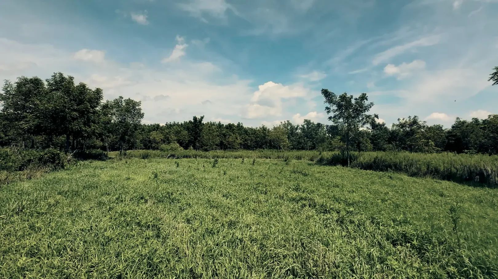 Land-for-Sale-LandCo-Farmland-for-Sale-2025-09-23-at-10.55.20-AM.webp