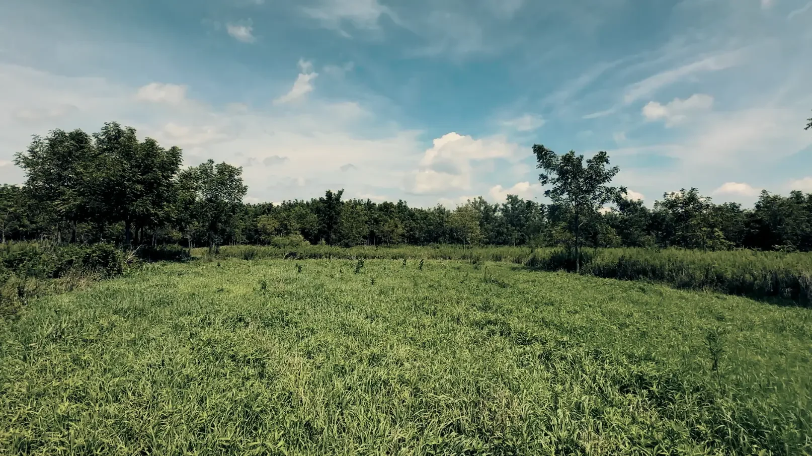 Land-for-Sale-LandCo-Farmland-for-Sale-2025-09-23-at-10.55.29-AM.webp