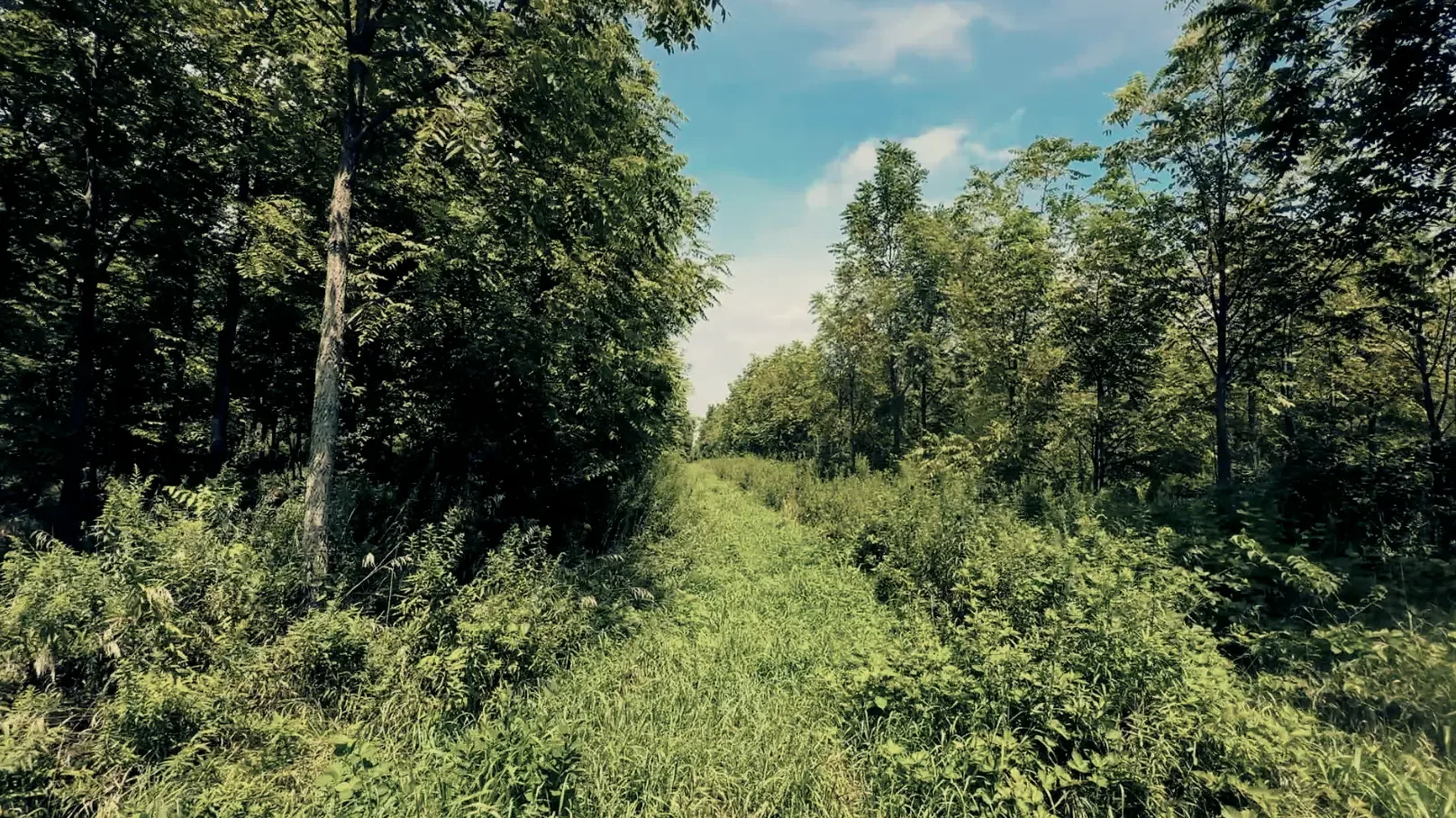 Land-for-Sale-LandCo-Farmland-for-Sale-2025-09-23-at-10.55.51-AM.webp