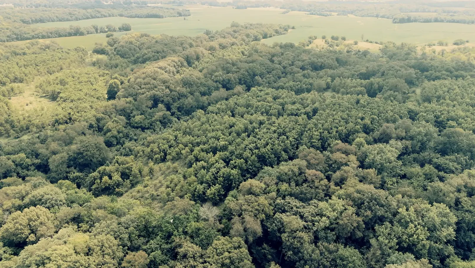 Land-for-Sale-LandCo-Farmland-for-Sale-2025-09-23-at-10.56.18-AM.webp