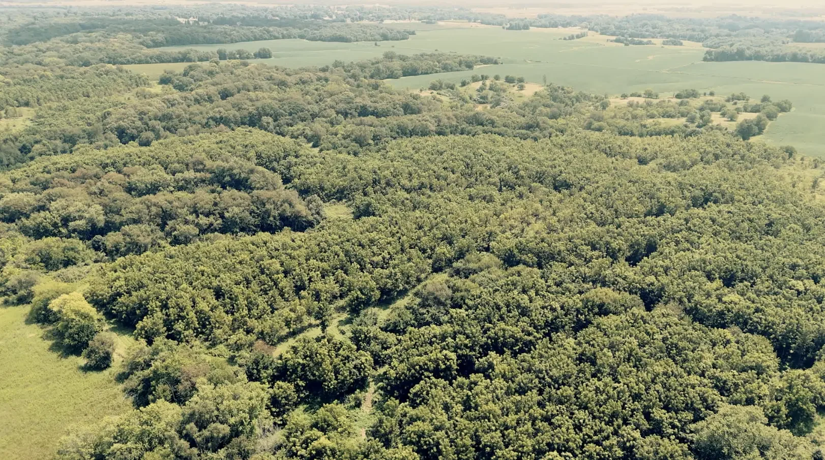 Land-for-Sale-LandCo-Farmland-for-Sale-2025-09-23-at-10.56.37-AM.webp