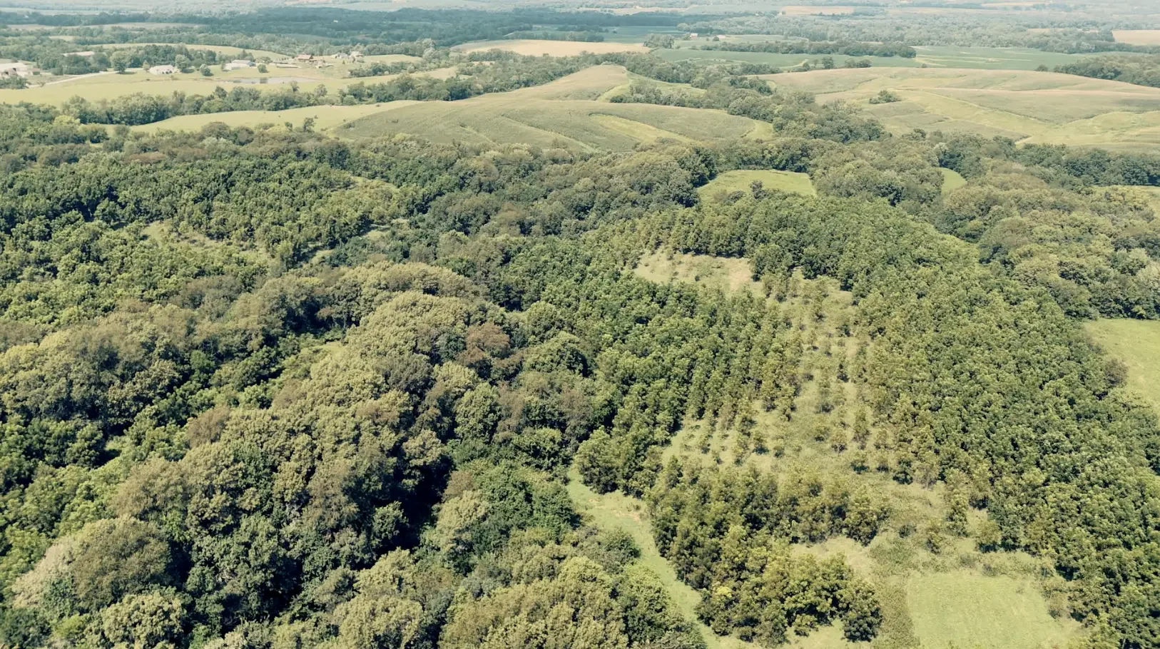 Land-for-Sale-LandCo-Farmland-for-Sale-2025-09-23-at-10.56.53-AM.webp
