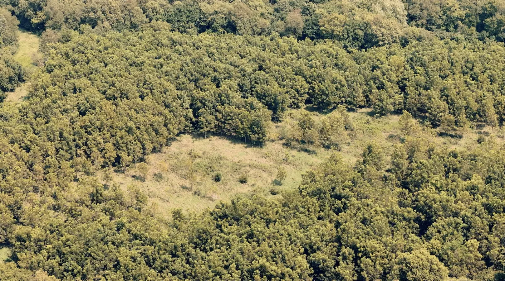 Land-for-Sale-LandCo-Farmland-for-Sale-2025-09-23-at-10.57.01-AM.webp