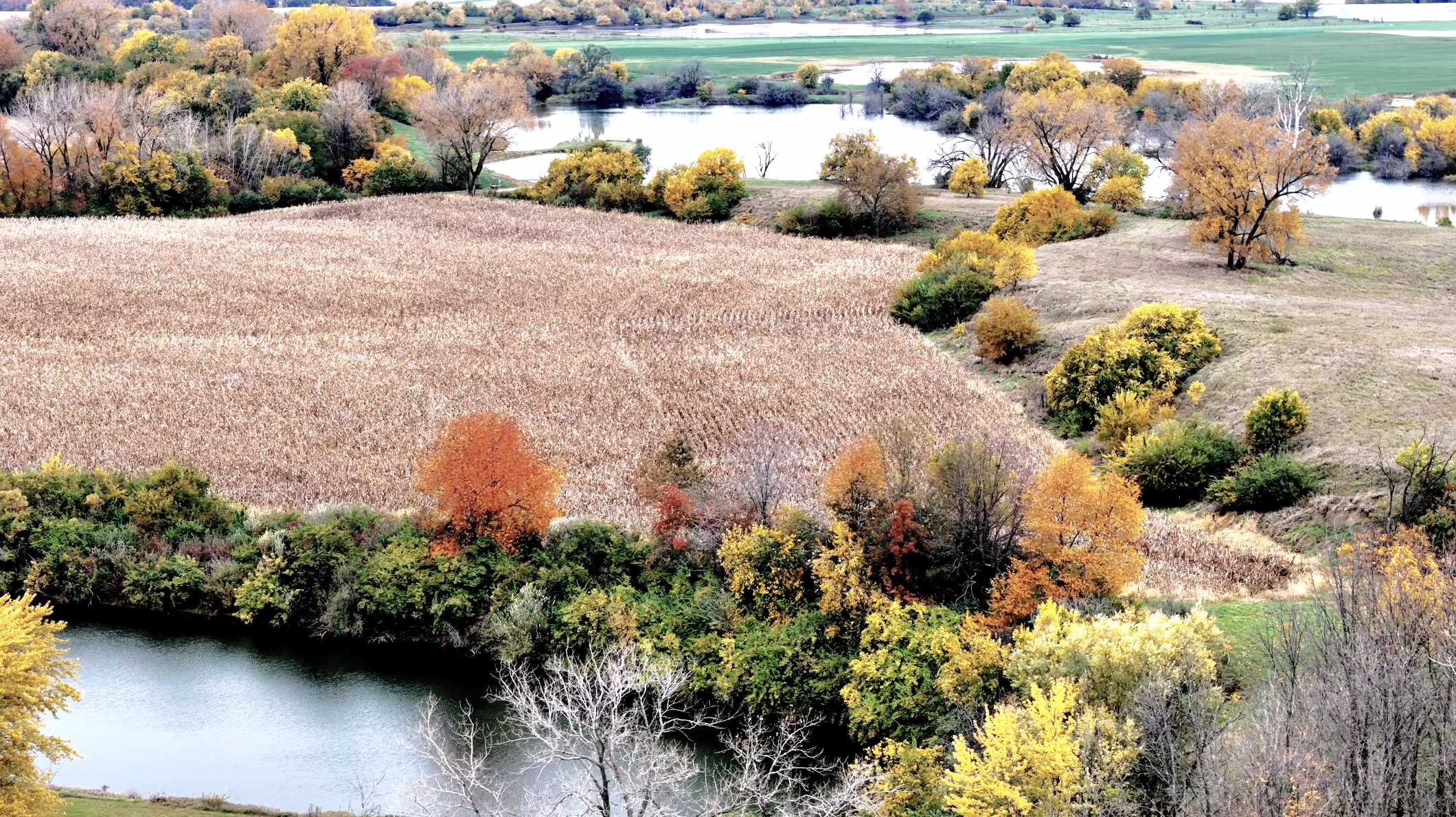 Land-for-Sale-LandCo-Farmland-for-Sale-2025-12-22-at-3.48.10-PM.png