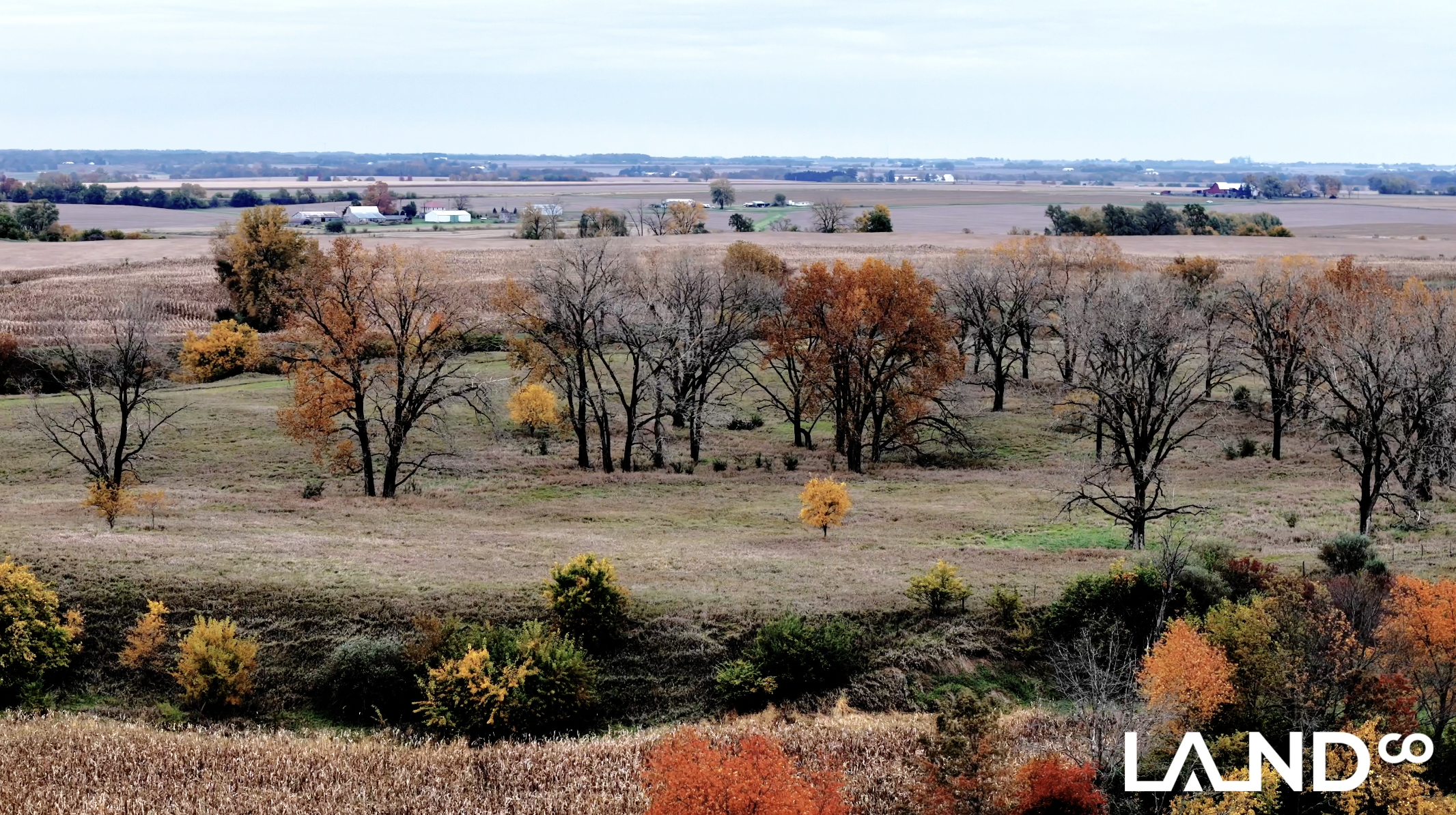 Land-for-Sale-LandCo-Farmland-for-Sale-2025-12-22-at-3.53.06-PM.png