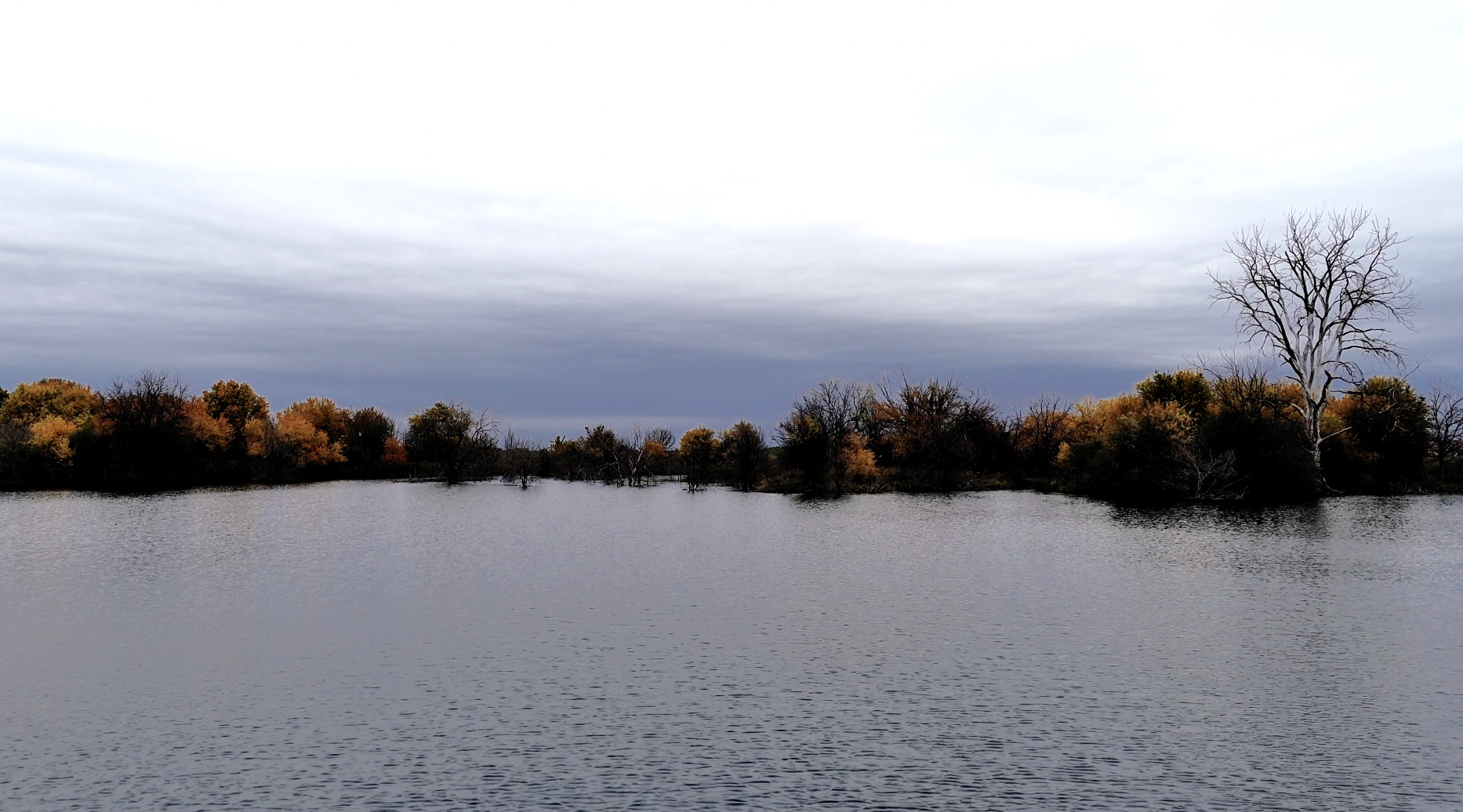 Land-for-Sale-LandCo-Farmland-for-Sale-2025-12-22-at-3.53.53-PM.png