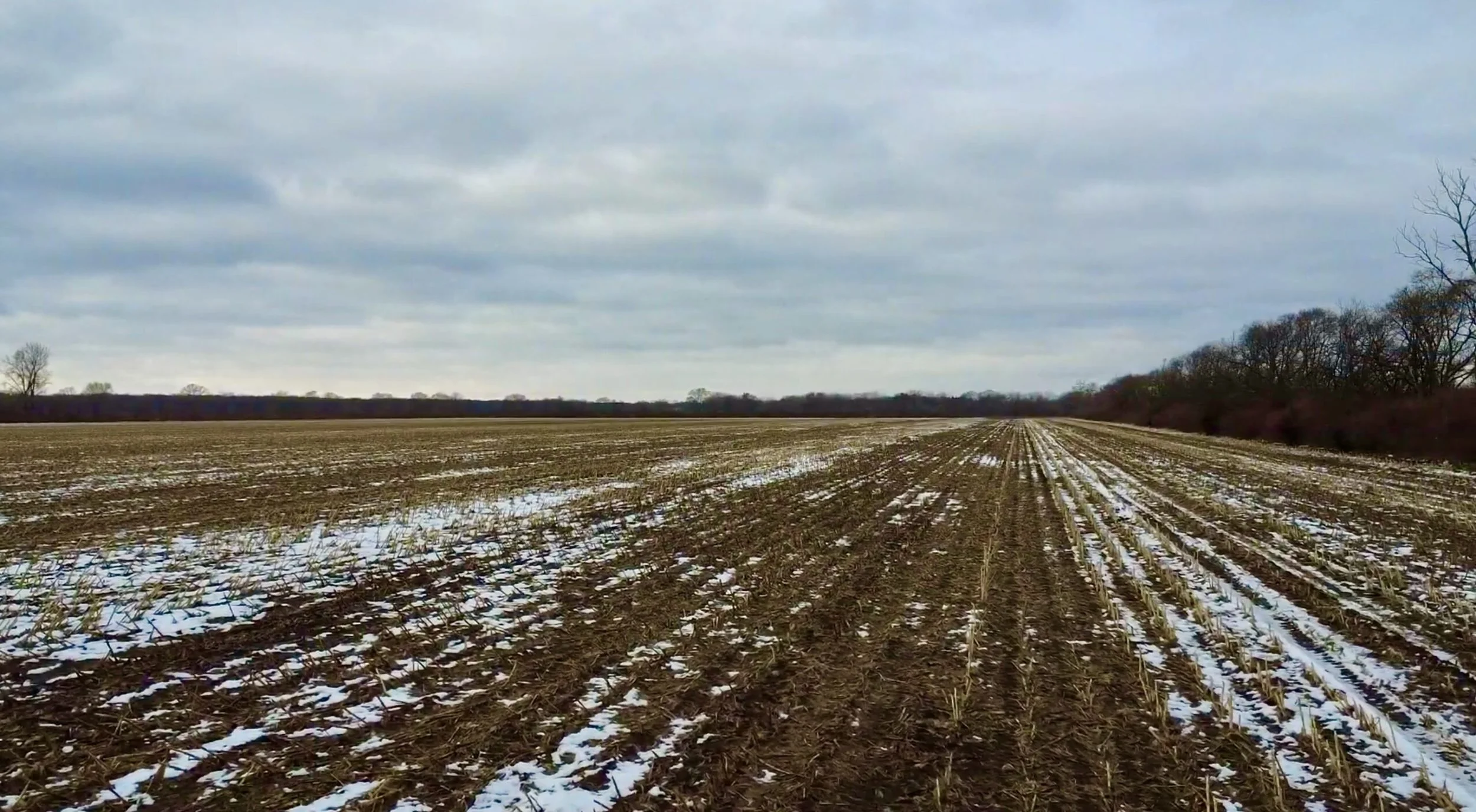 Land-for-Sale-LandCo-Farmland-for-Sale-2026-01-05-at-8.55.12-PM-1-scaled.jpeg