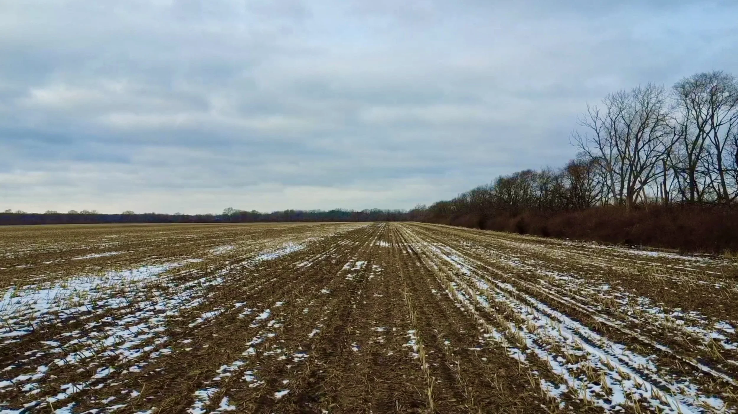 Land-for-Sale-LandCo-Farmland-for-Sale-2026-01-05-at-8.55.27-PM-1-scaled.jpeg